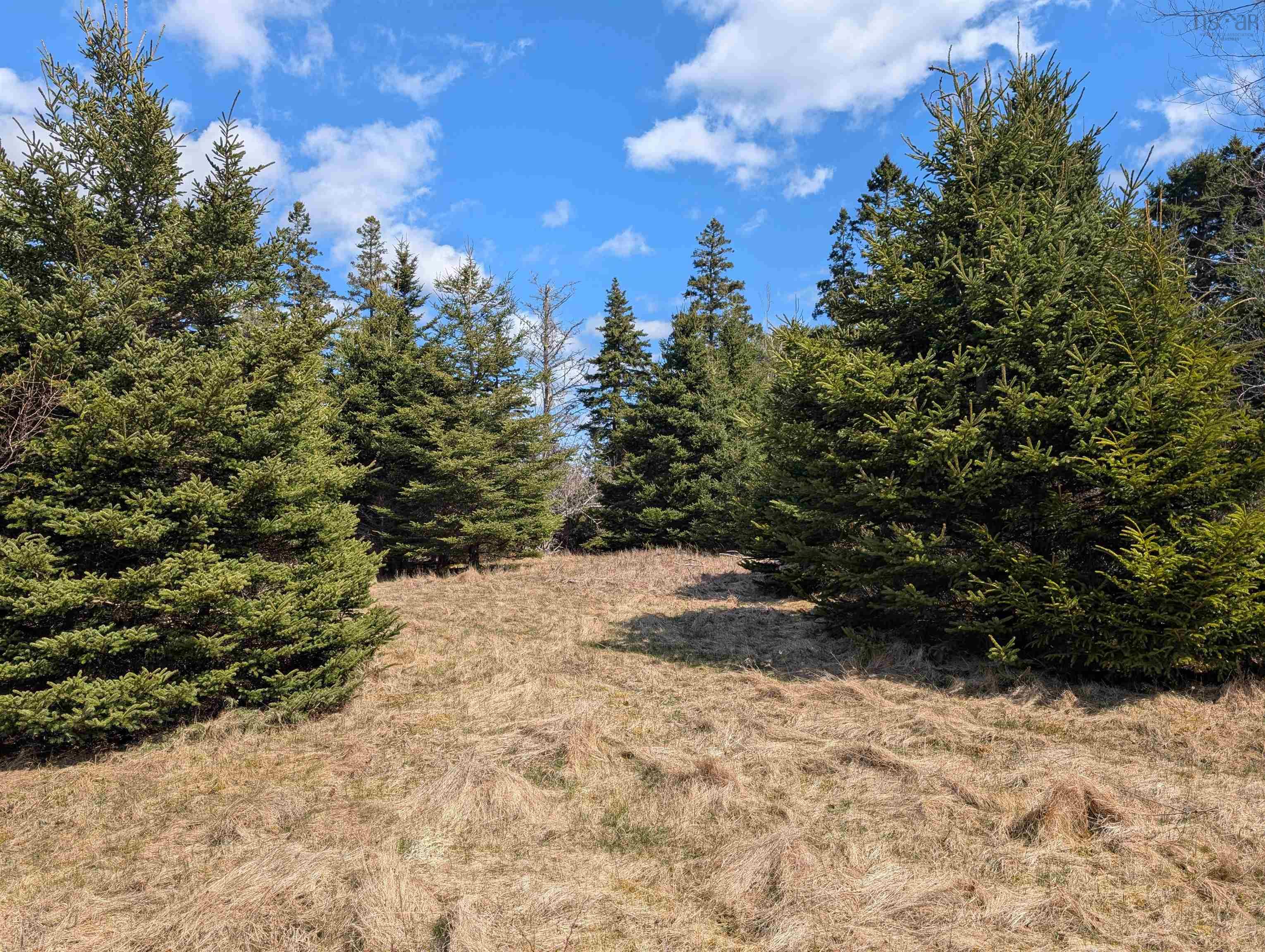 $245,000.00: Lot 8-a Woodenship Lane, Feltzen South