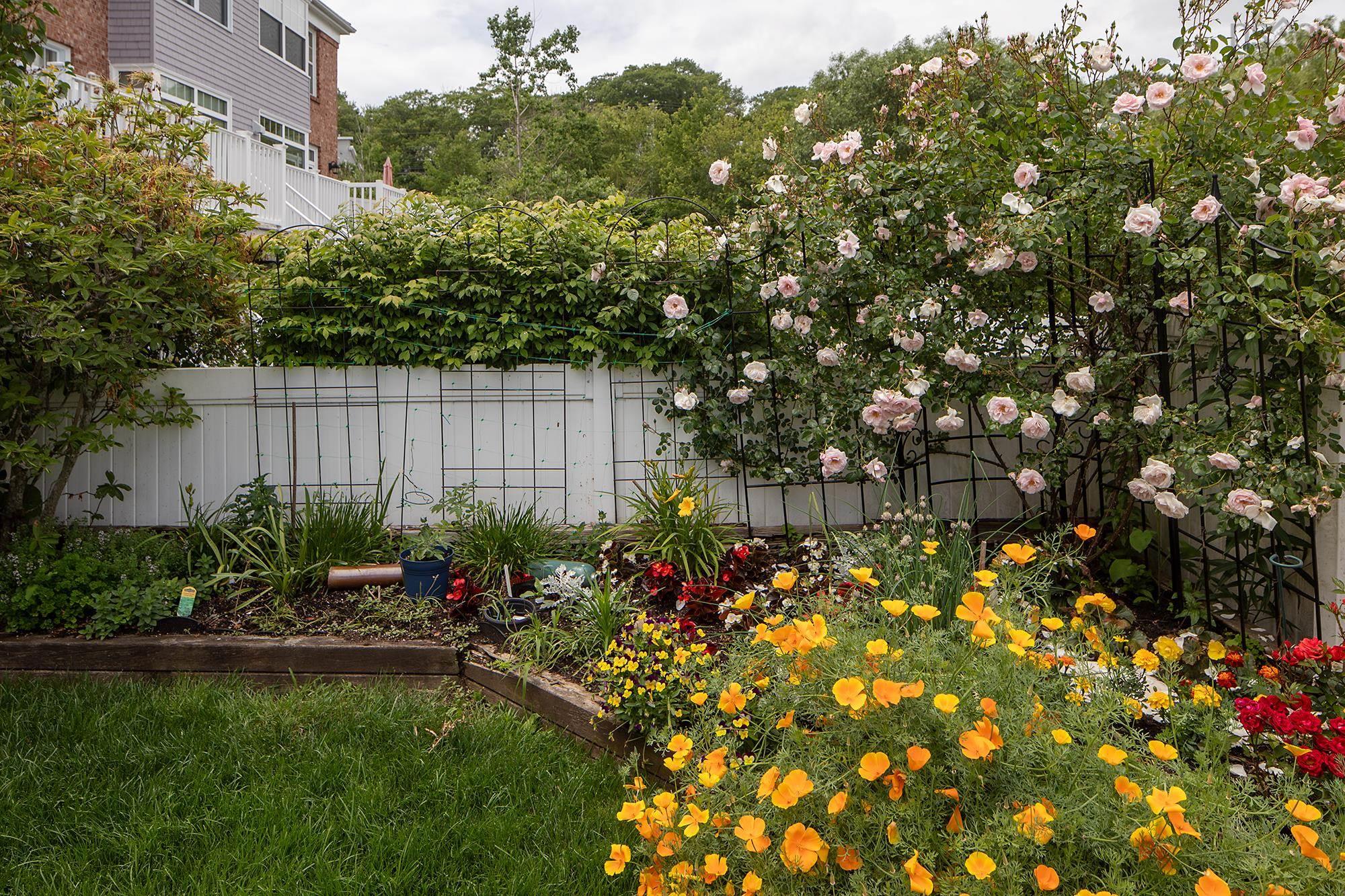 4 Arthur Lismer Court, Bedford, NS (MLS 202528919)