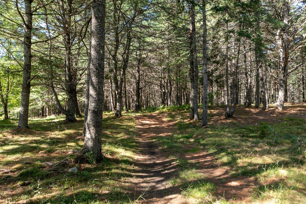 $3,875,000.00: 226 Crandall Road, Martins Point