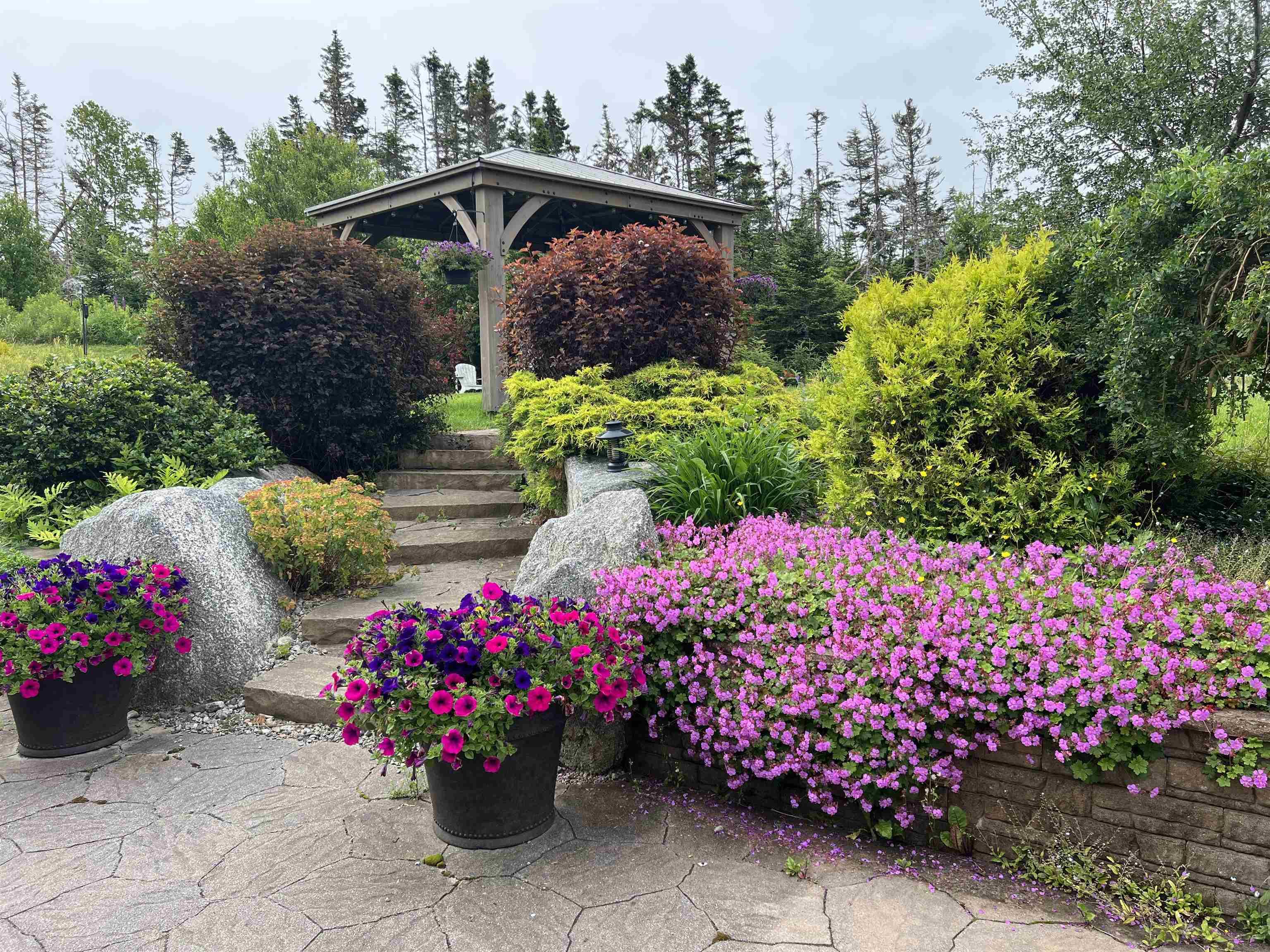 462 Bald Rock Road, Sambro, NS (MLS 202529252)