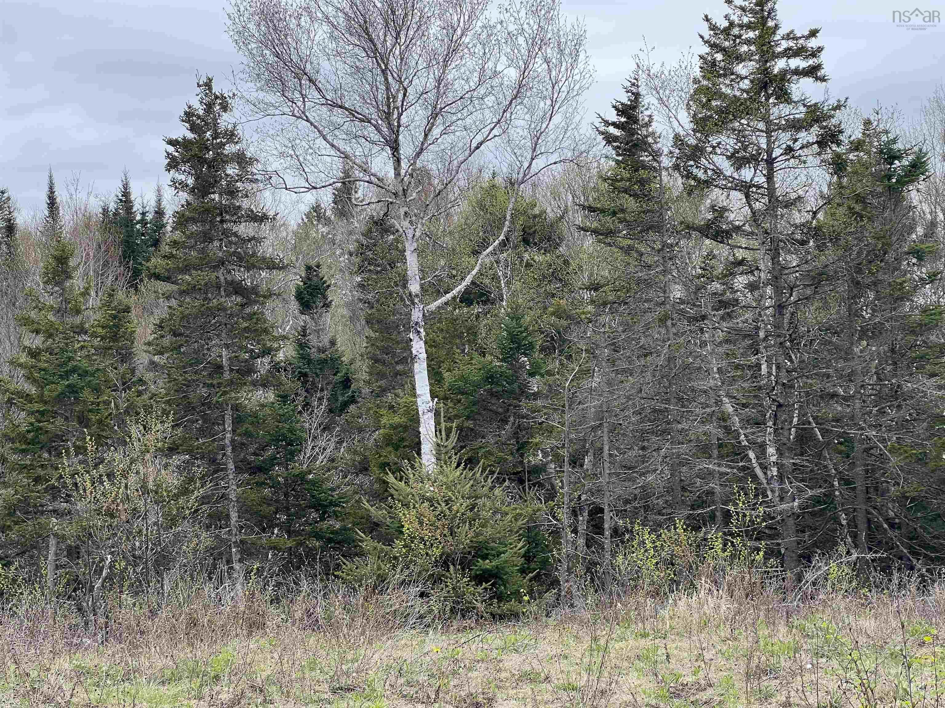 Lot Rjg-1 Long Beach Road, West Glenmont, NS (MLS® 202529391) | West Glenmont Real Estate | RE/MAX Halifax