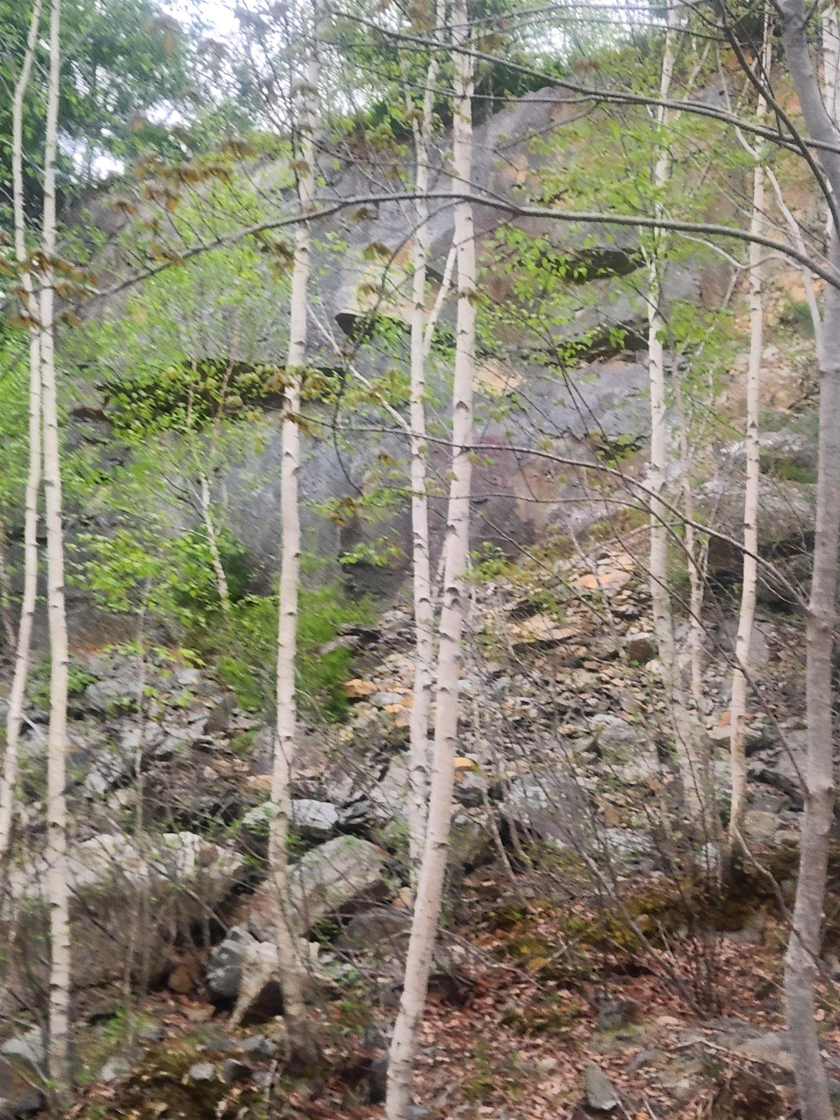 $44,900.00: Land Highway 103, Reids Hill