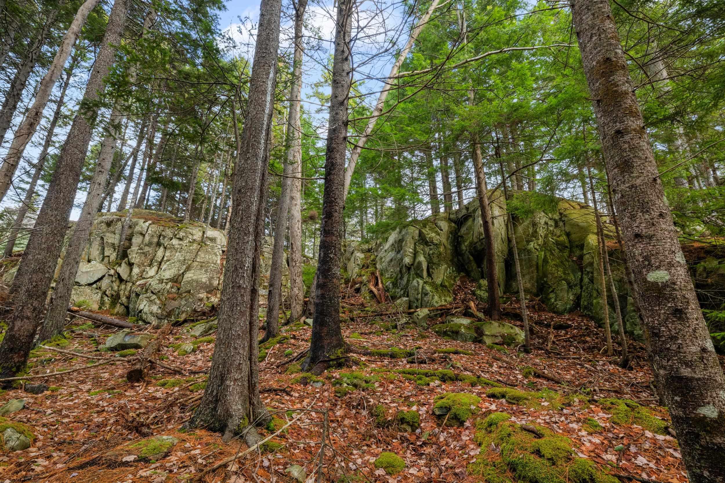 49 Village Crescent, Bedford, NS (MLS 202529412)