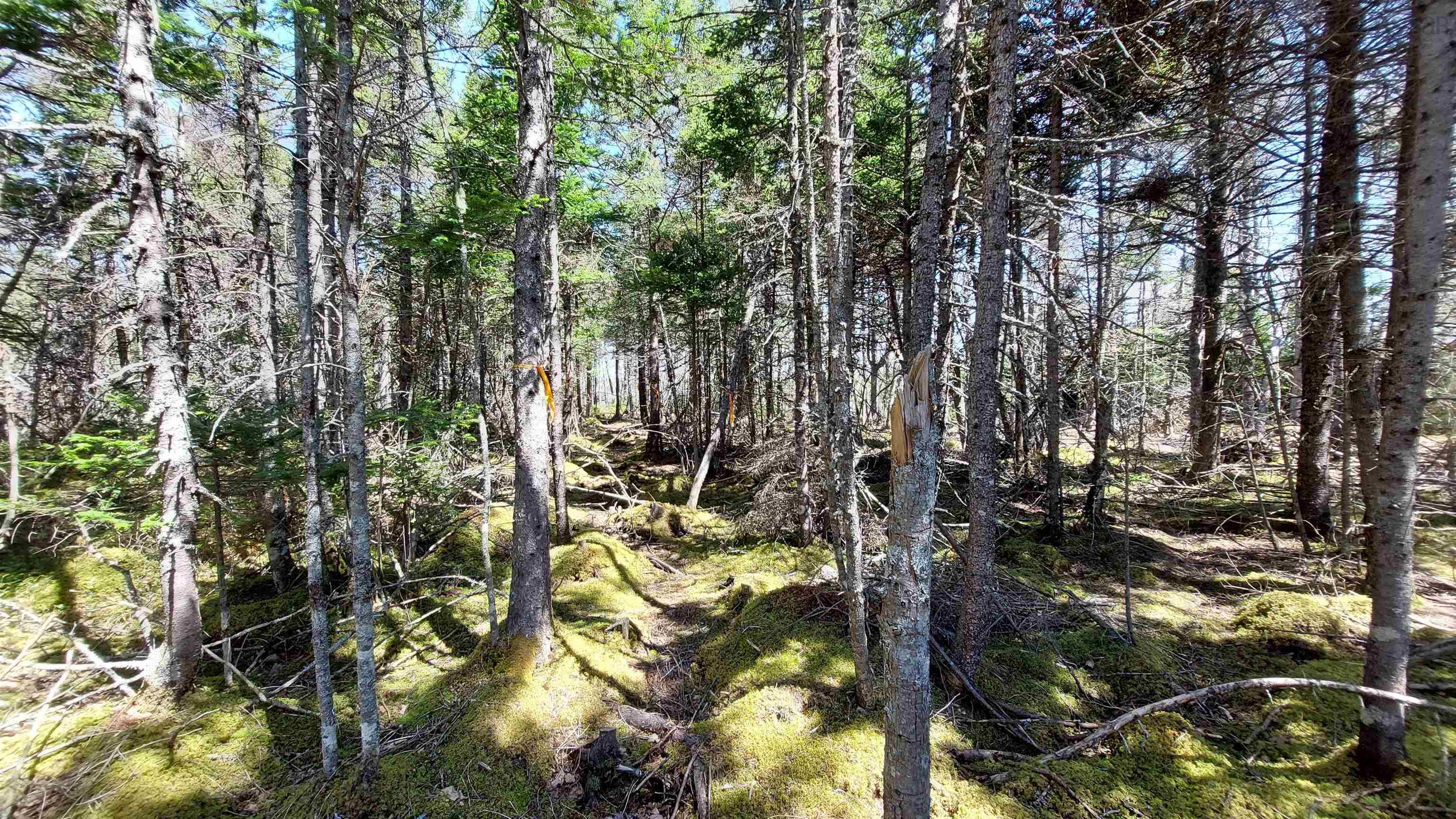 $79,000.00: Lot 6 Janvrin Harbour Rd, St. Marys