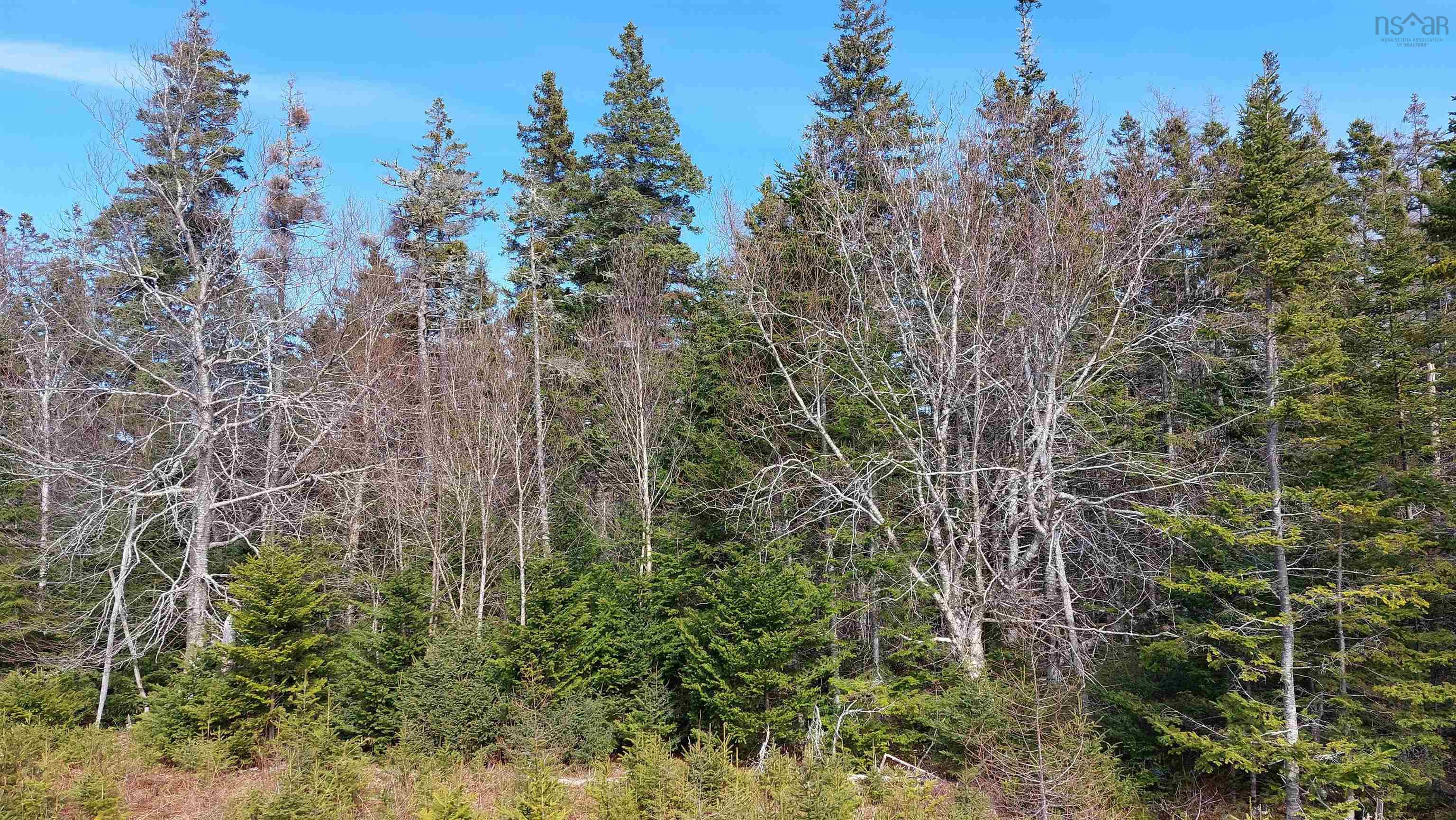 $39,000.00: Lot 53 Peter Sosna Dr, Hay Cove