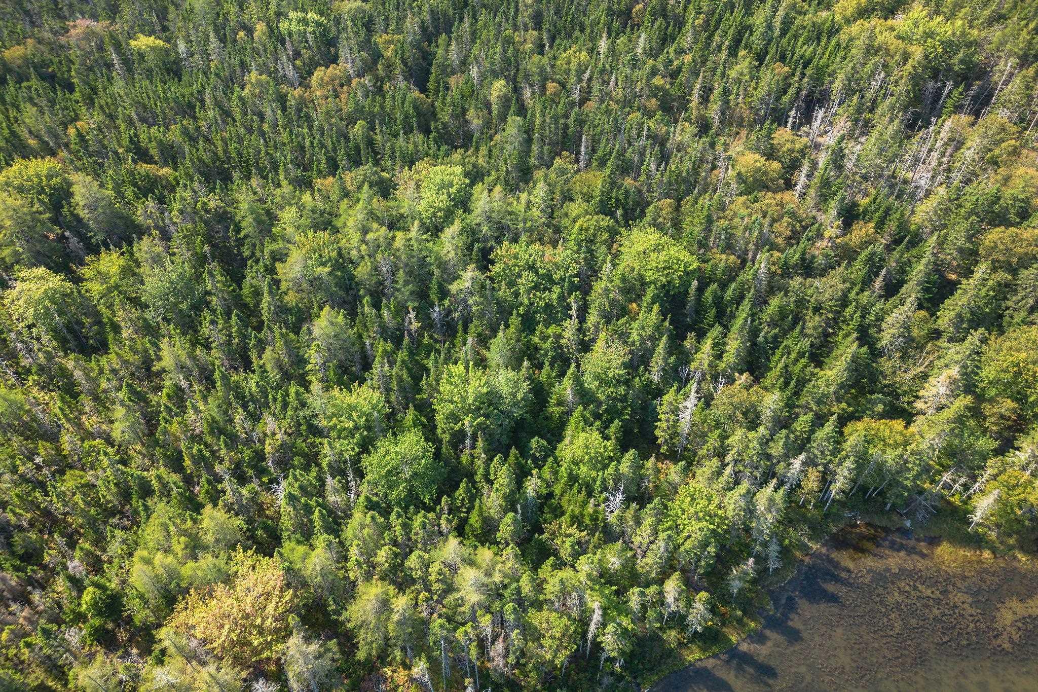 $39,000.00: Lot 53 Peter Sosna Dr, Hay Cove