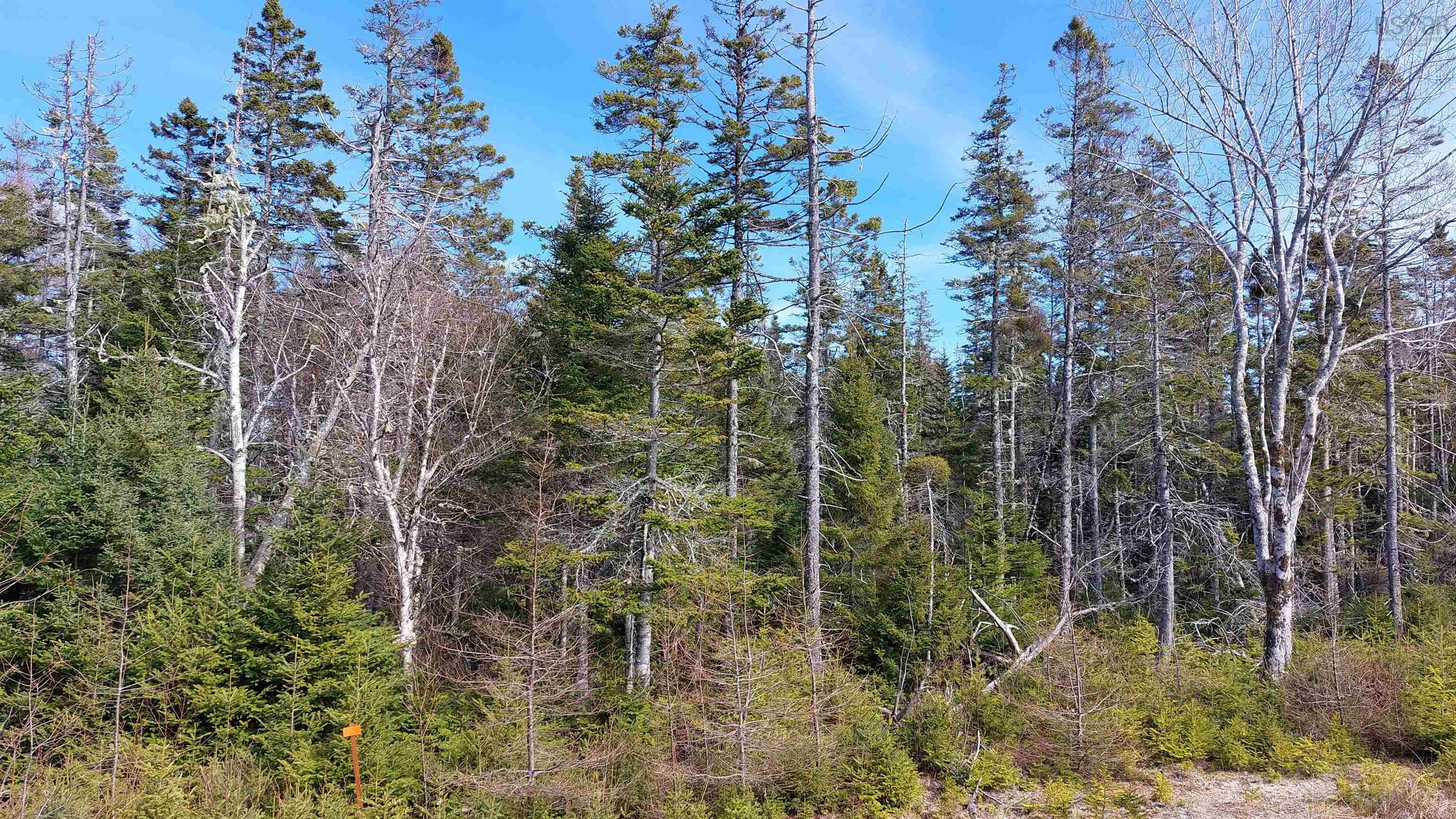 $39,000.00: Lot 53 Peter Sosna Dr, Hay Cove
