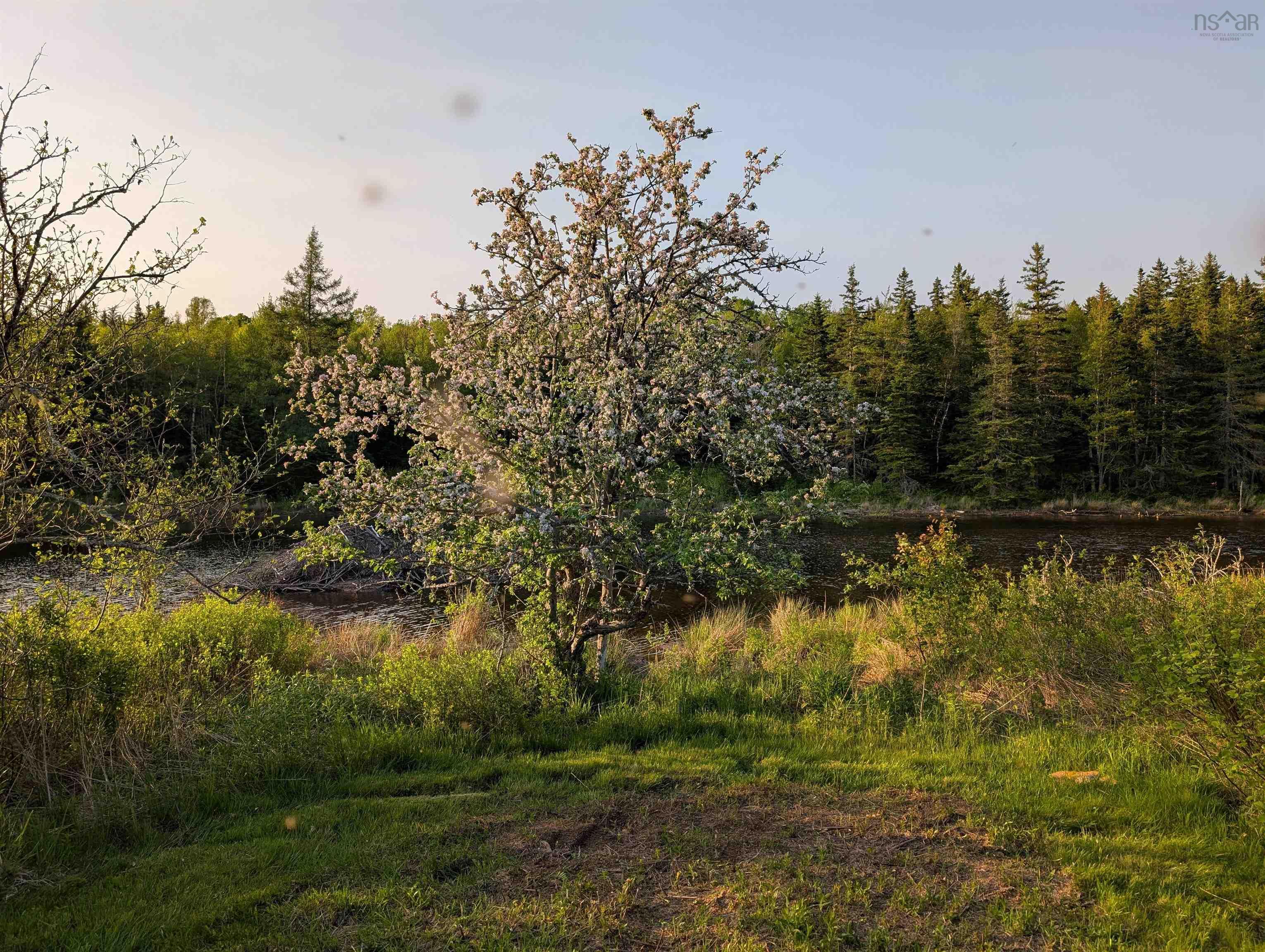 $219,900.00: 1329 Highway 321, River Philip