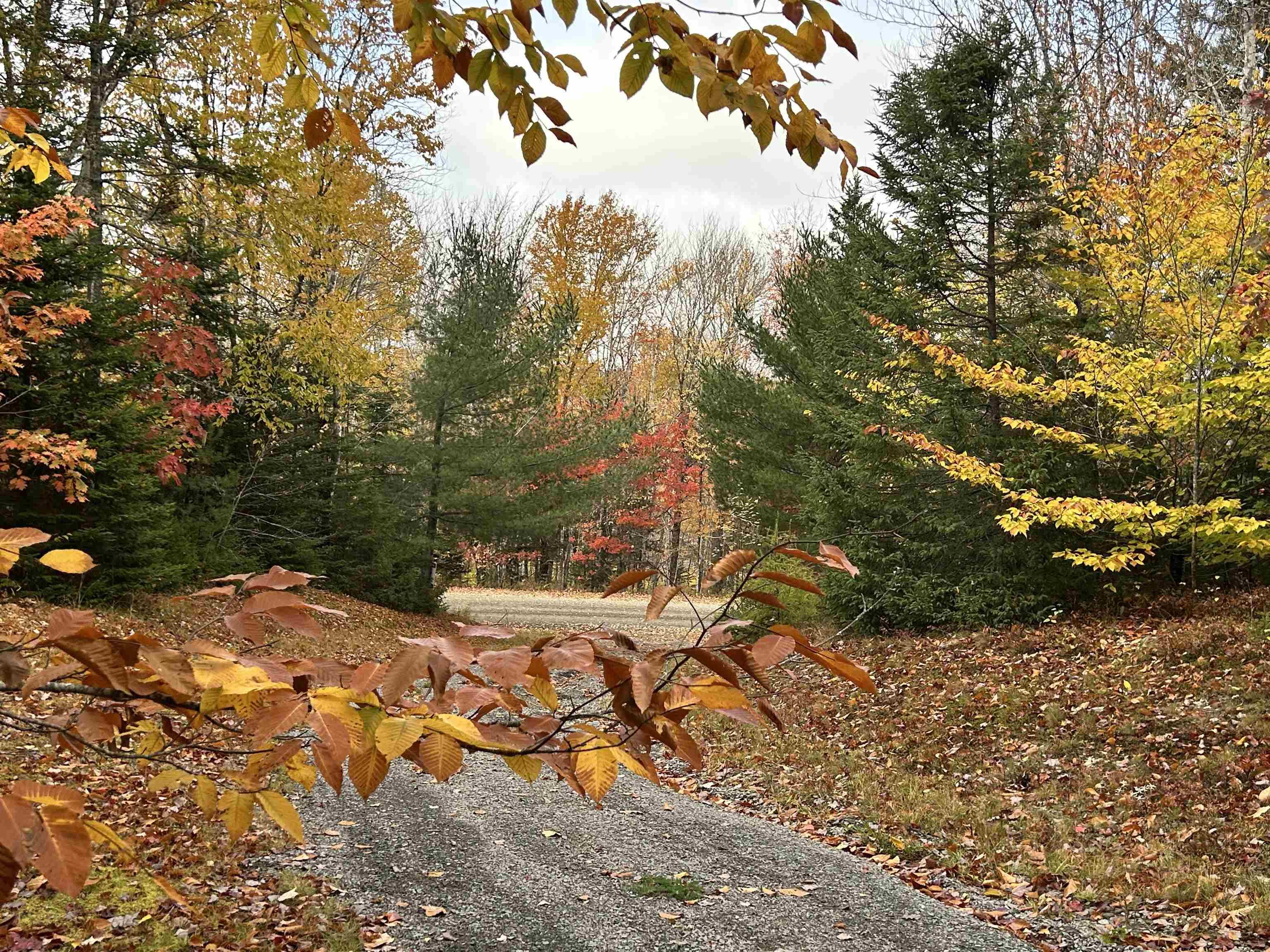 $75,000.00: 51 Lead Mine Road, Glenelg