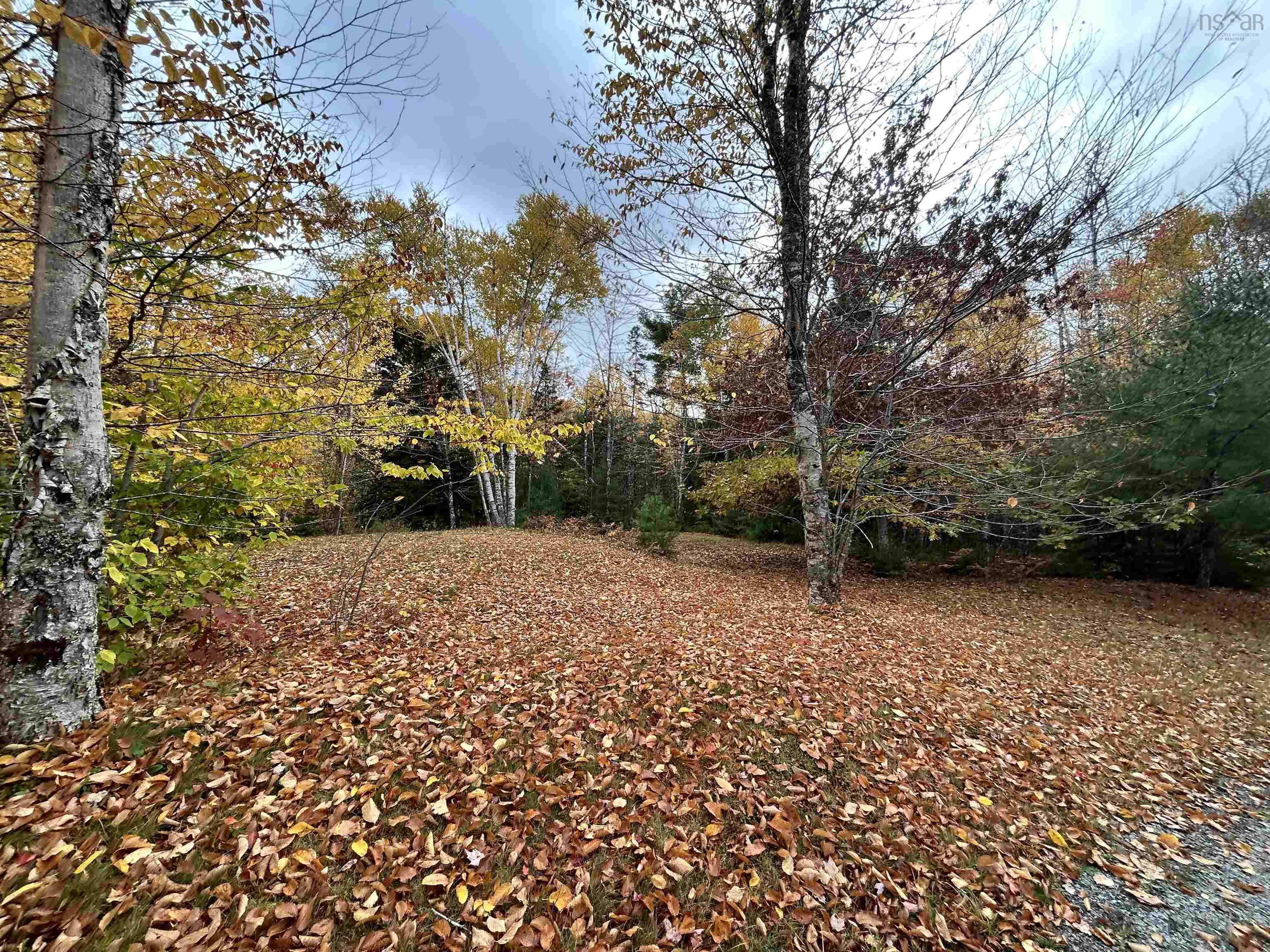 $75,000.00: 51 Lead Mine Road, Glenelg