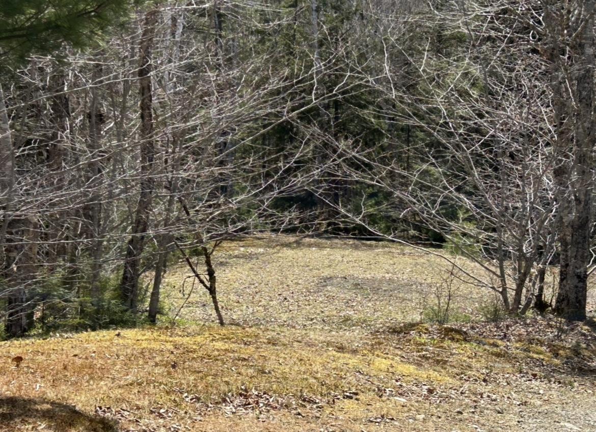 $75,000.00: 51 Lead Mine Road, Glenelg