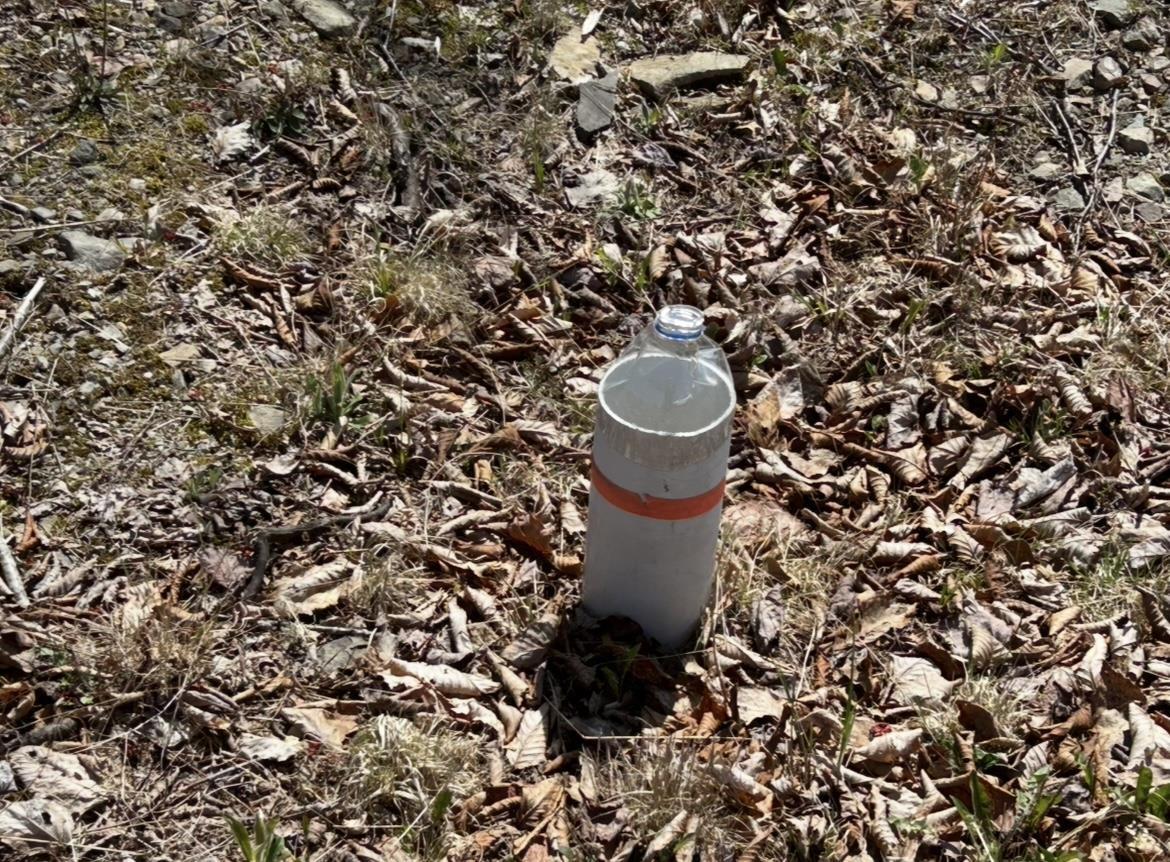 $75,000.00: 51 Lead Mine Road, Glenelg