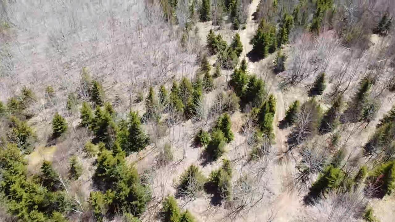 $120,000.00: Kempt Head Road, Kempt Head