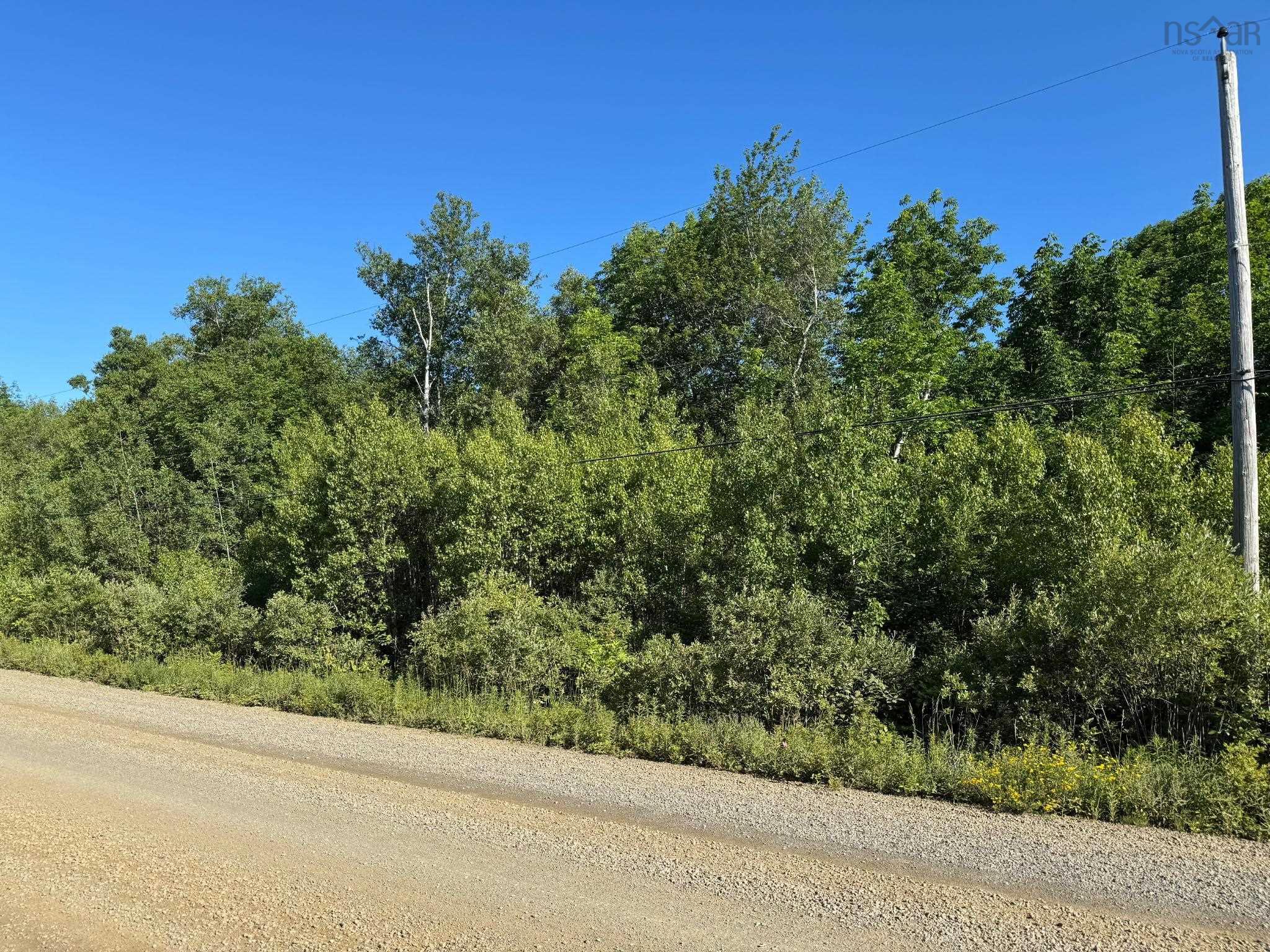 Lot 2001 Long Beach Road, Glenmont, NS (MLS® 202600258) | Glenmont Real Estate | RE/MAX Halifax