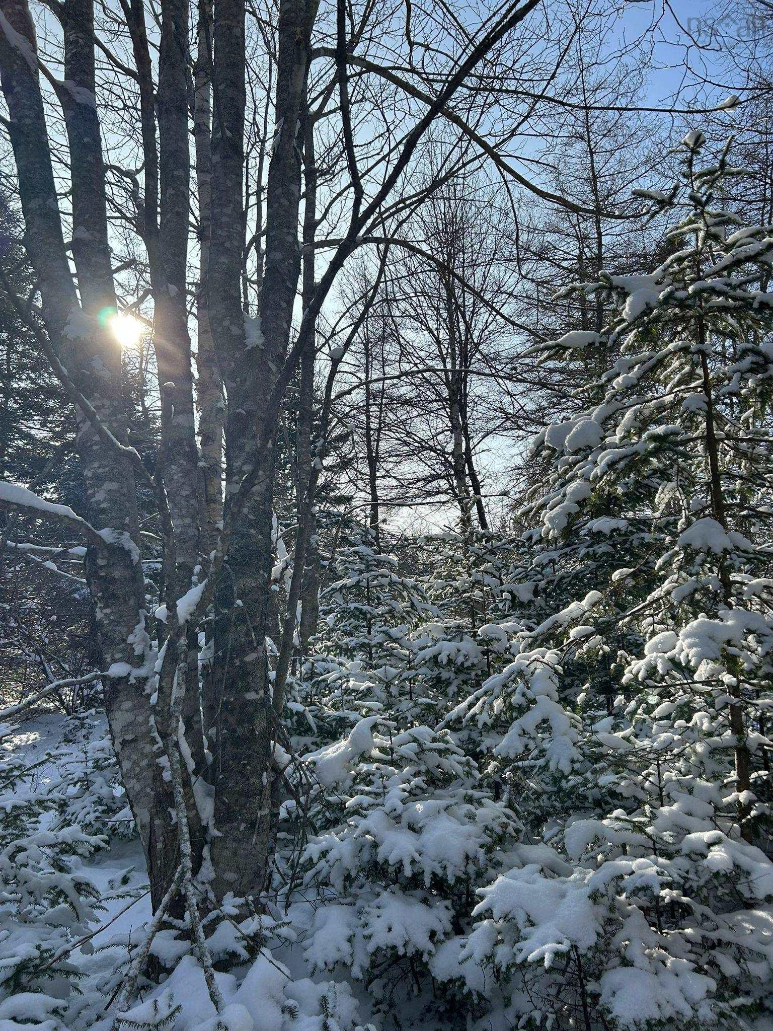 $59,000.00: Lot 11 Lower River Road, Grantville, Grantville