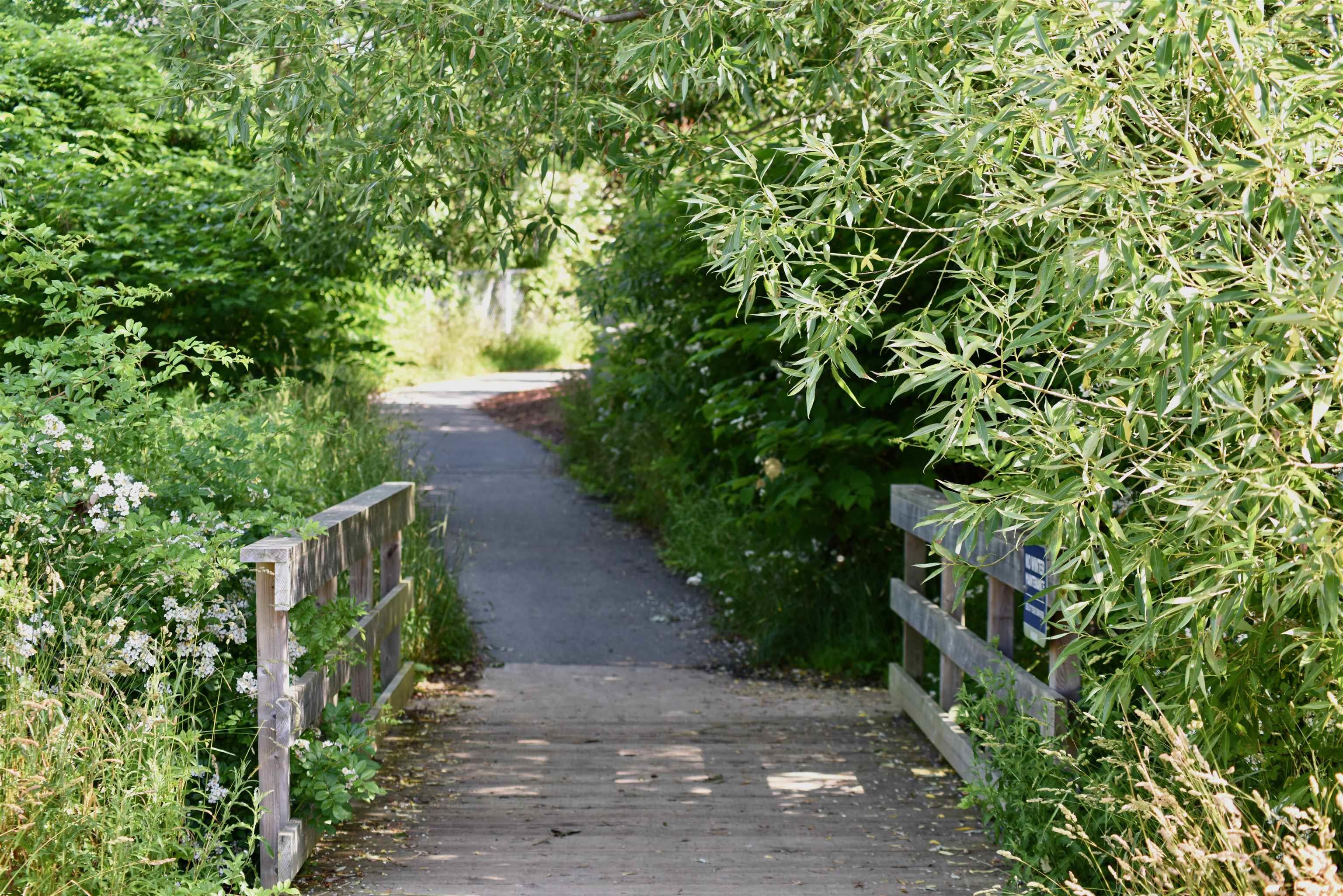 302 30 Waterfront Drive, Bedford, NS (MLS 202600425)