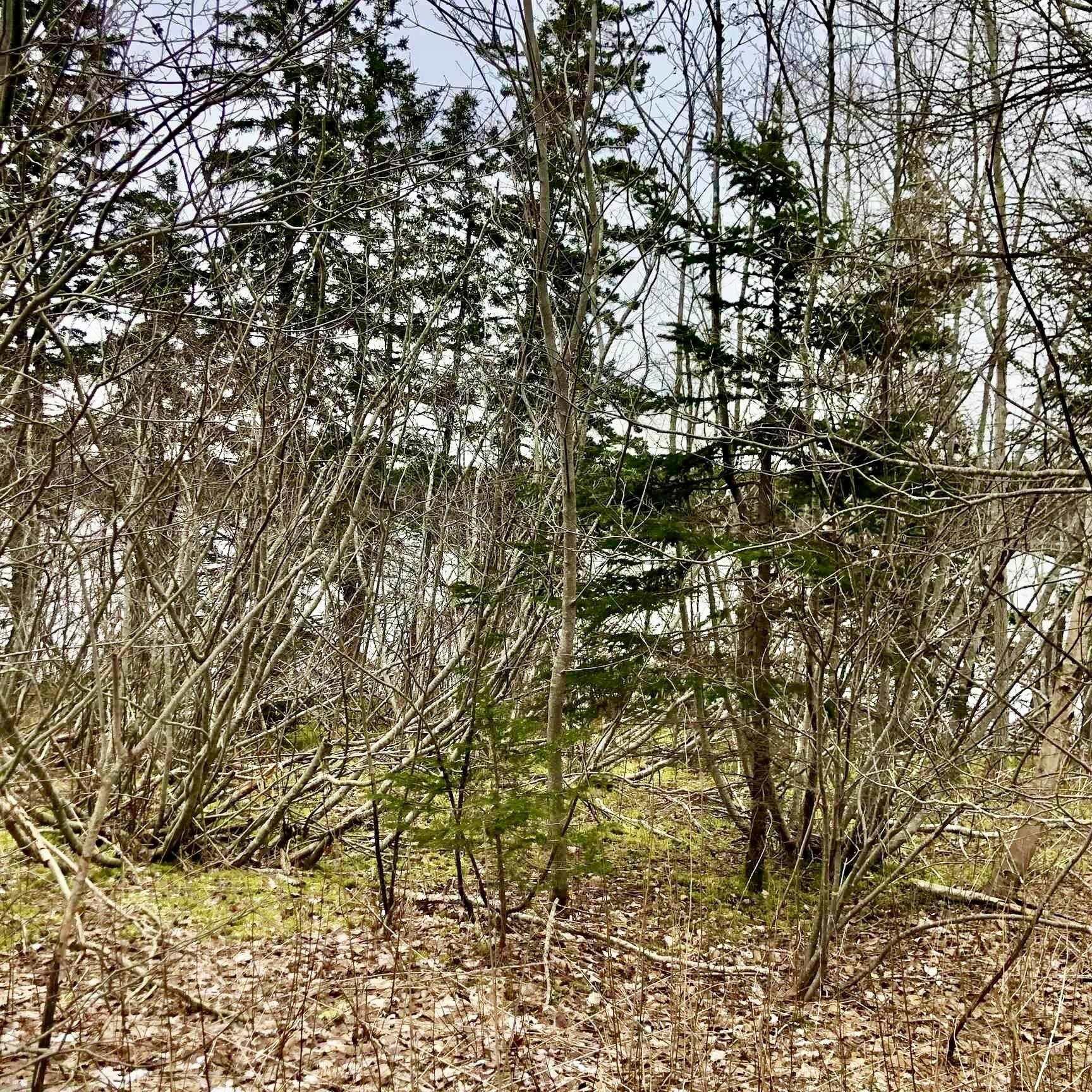$79,500.00: 0 Main Rd., Hureauville