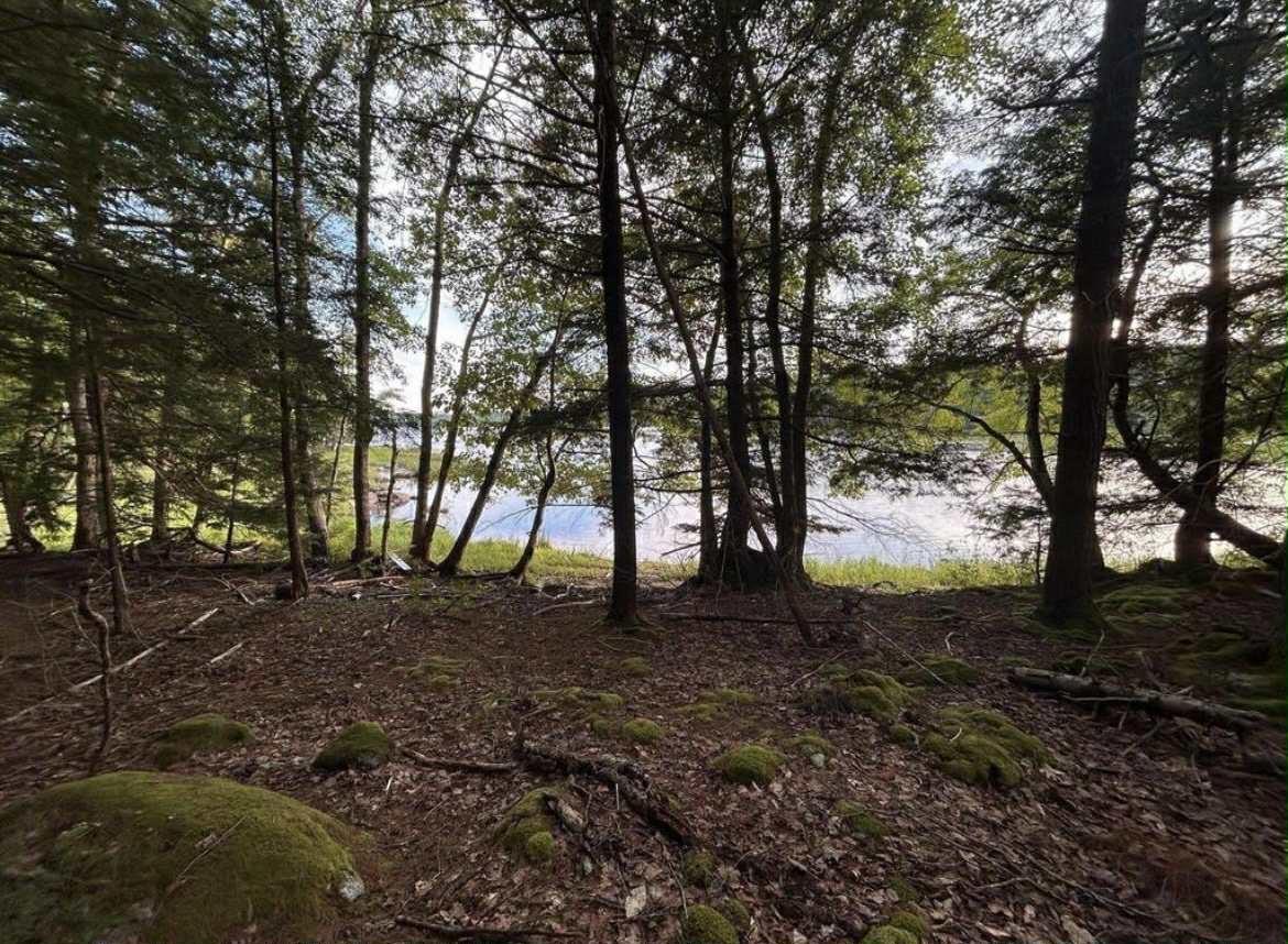 $74,900.00: Lot 27 Maplesue Point Road, Molega