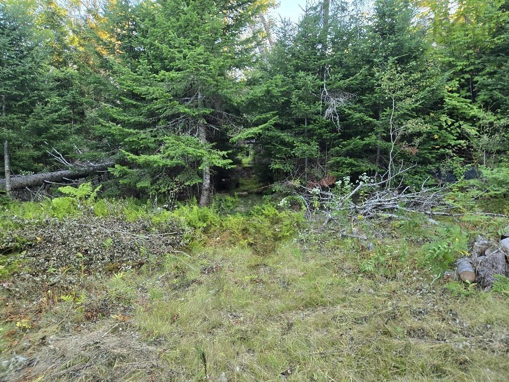 $55,000.00: Union 1 Road Greenfield, Greenfield
