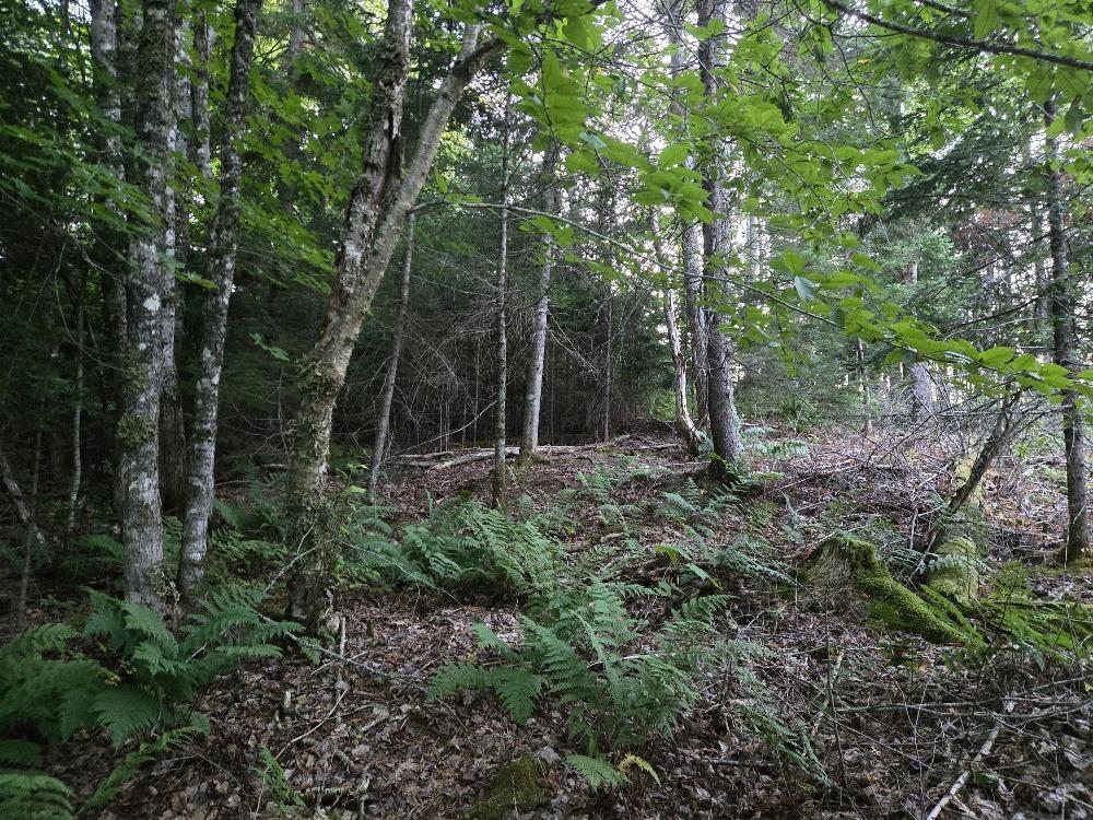 $55,000.00: Union 1 Road Greenfield, Greenfield