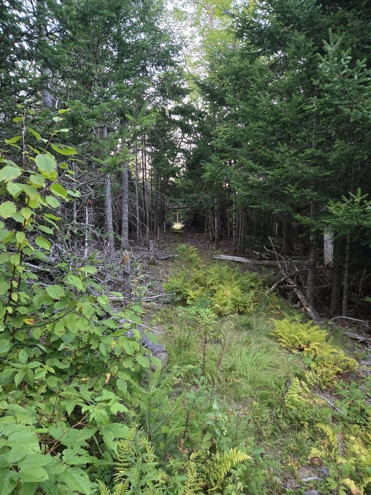 $55,000.00: Union 1 Road Greenfield, Greenfield