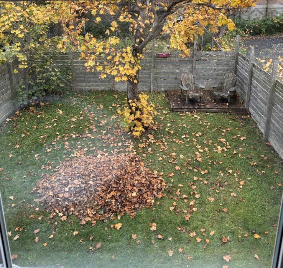 $725,000.00: 2464 Creighton Street, Halifax