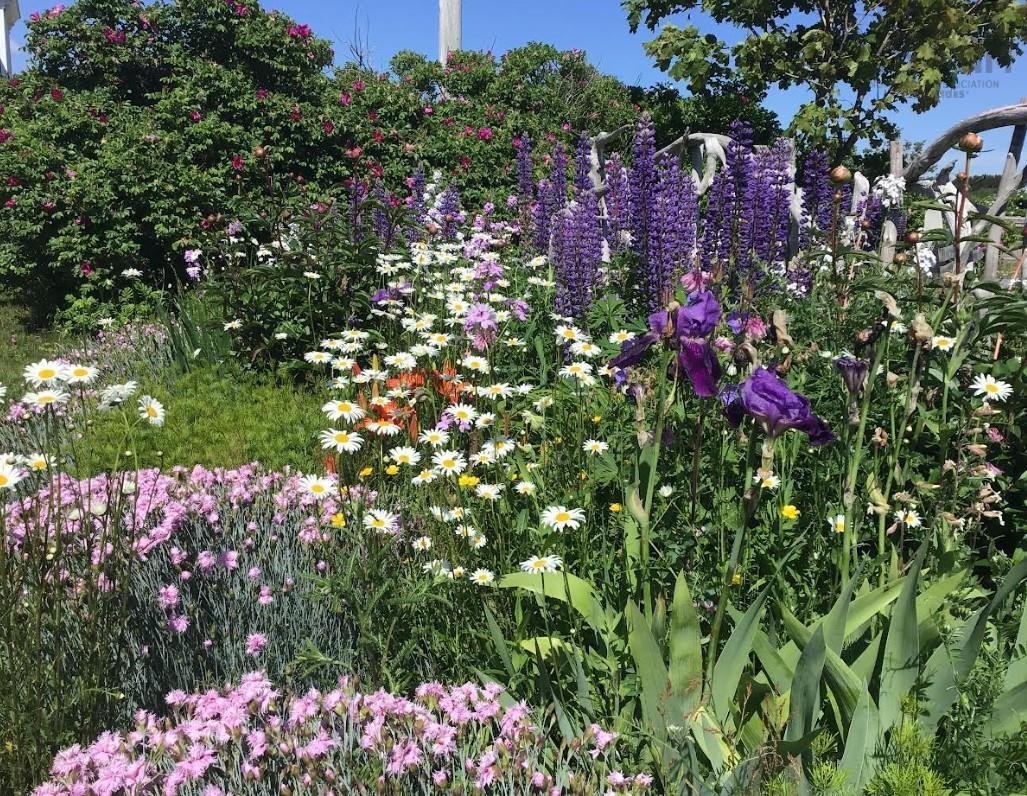 $349,000.00: 3702 209 Highway, Advocate Harbour