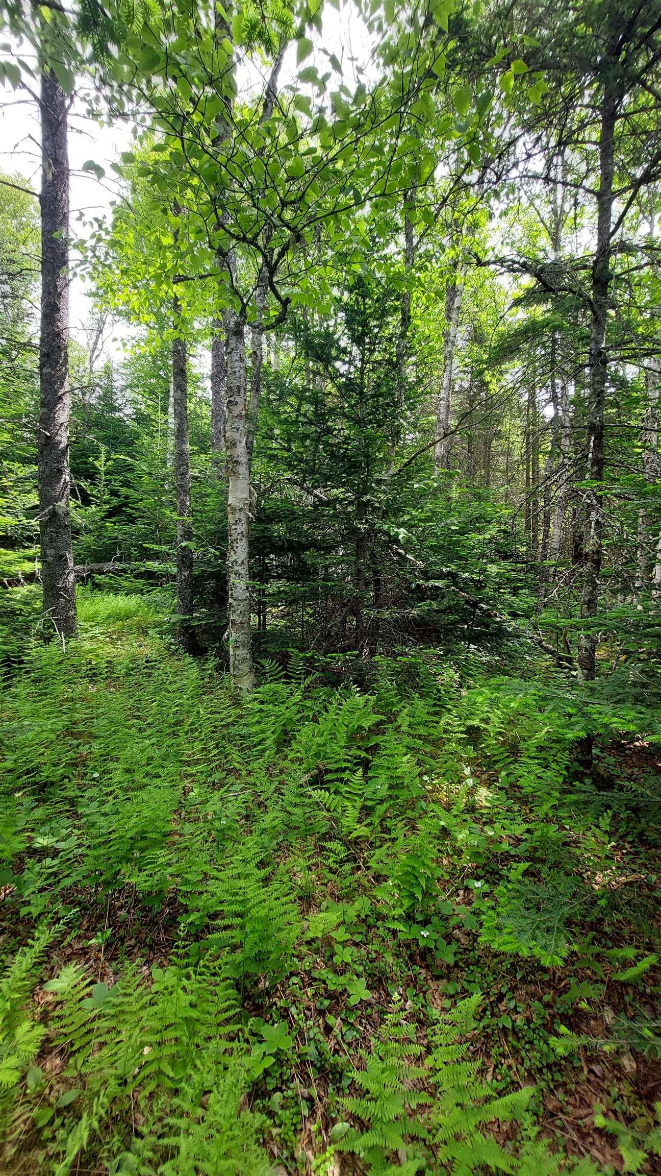 $29,500.00: Lot 22 Highway 4, Kempt Road