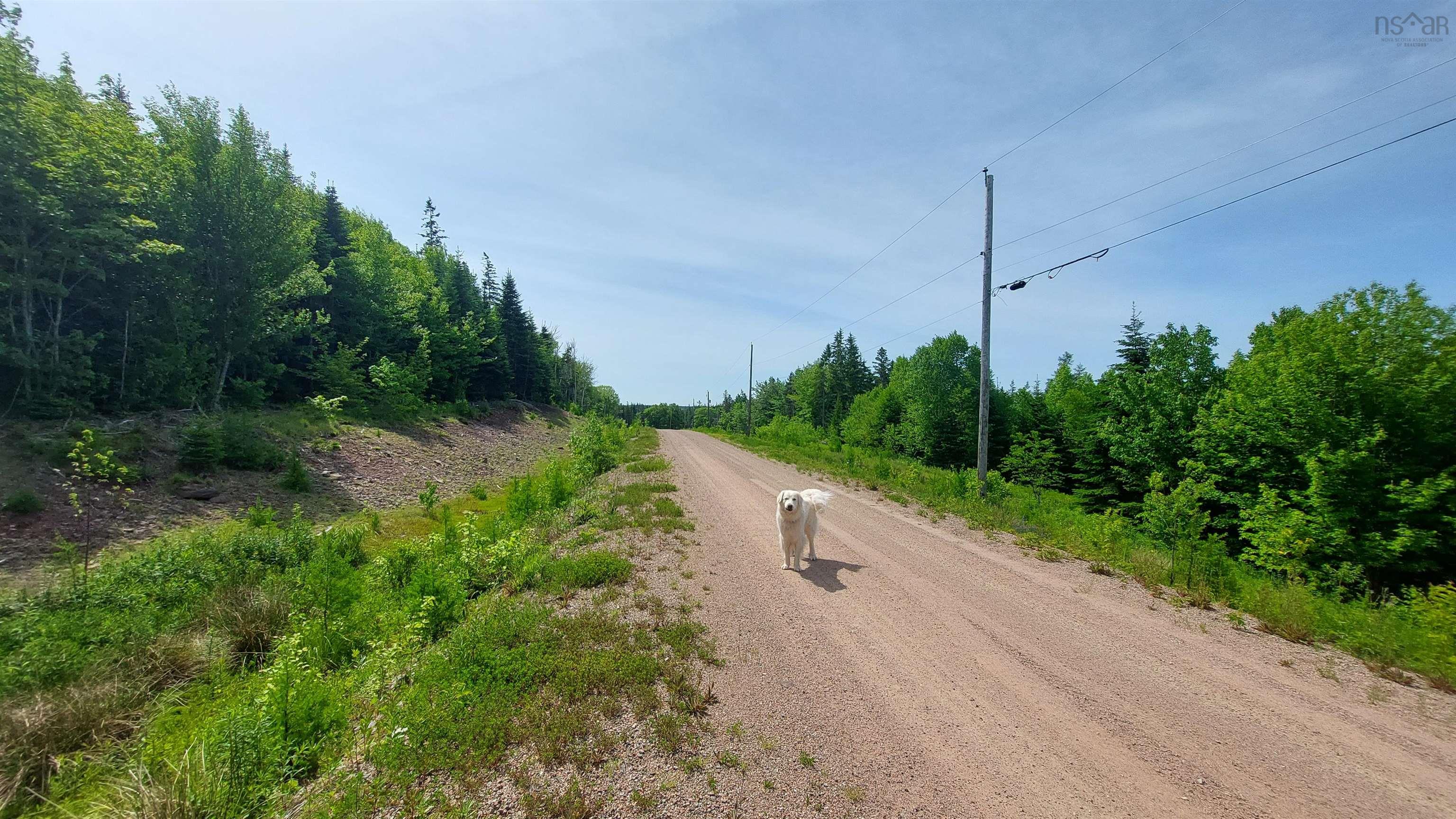 $29,500.00: Lot 22 Highway 4, Kempt Road