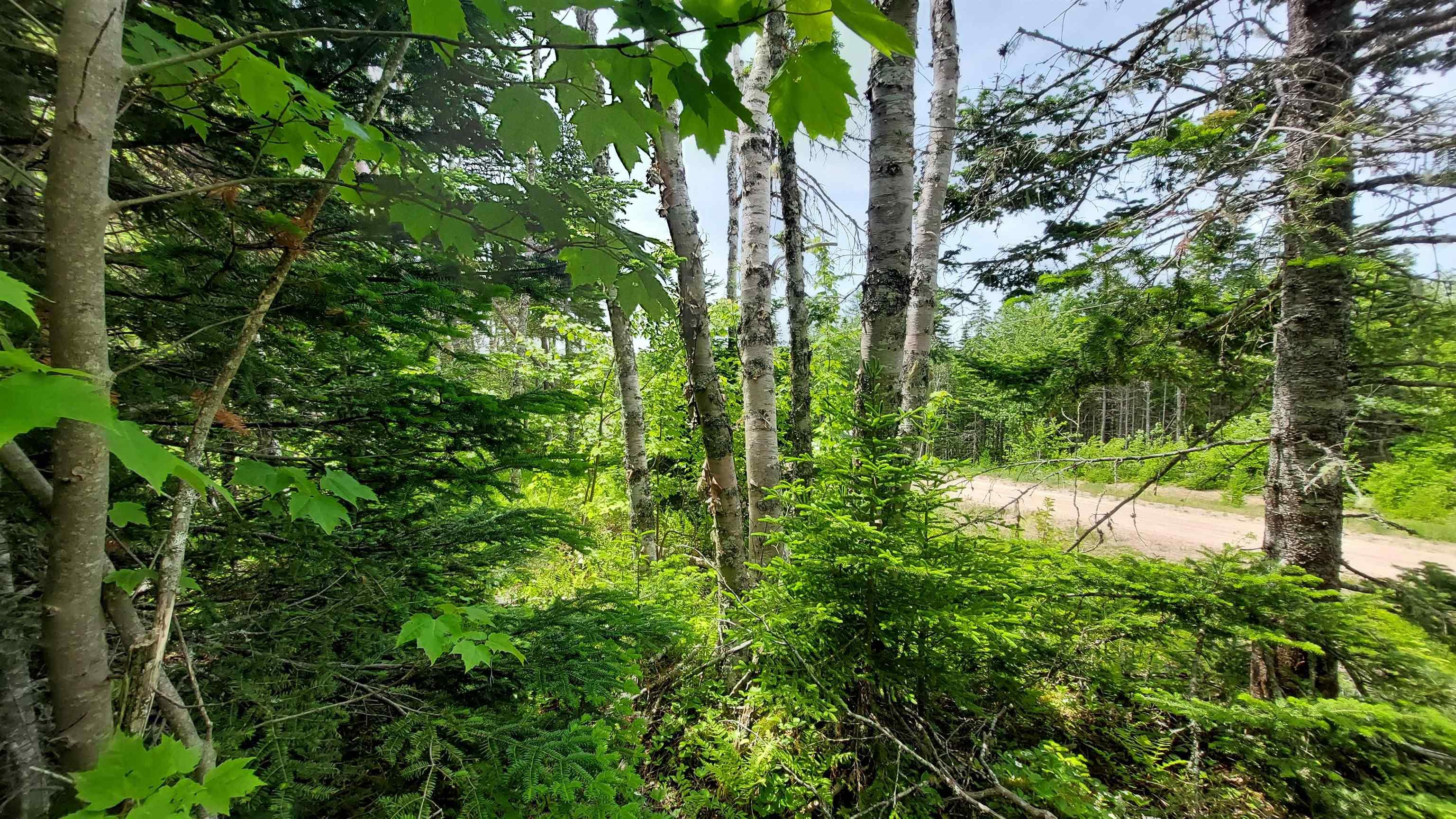 $29,500.00: Lot 22 Highway 4, Kempt Road