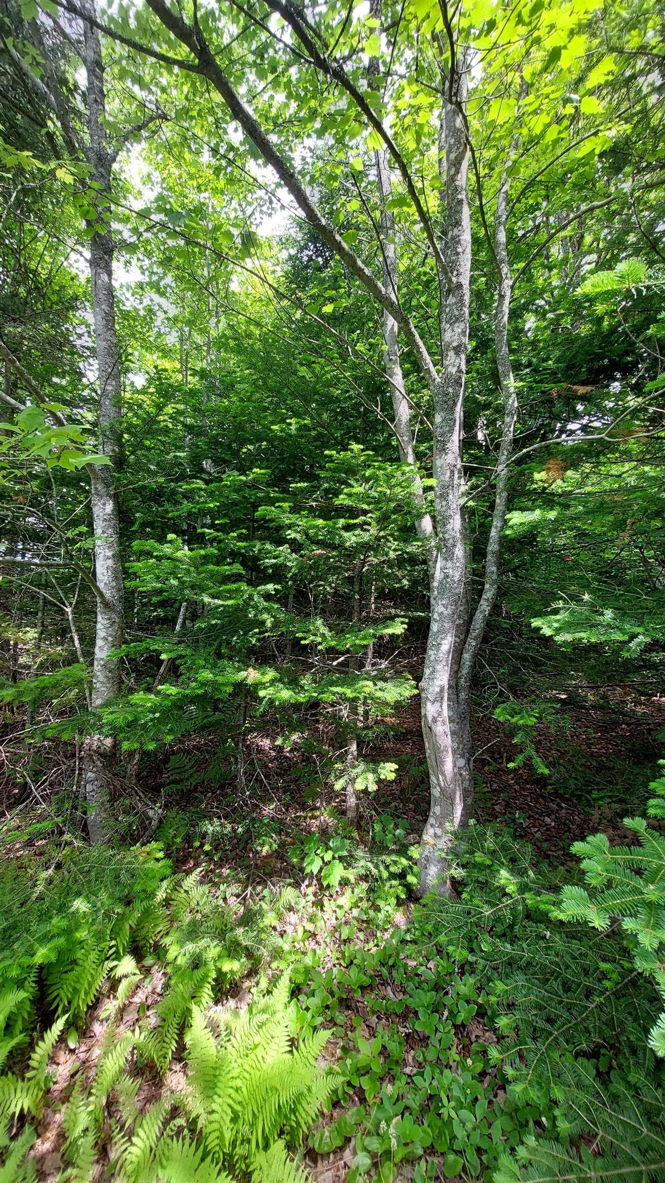 $29,500.00: Lot 22 Highway 4, Kempt Road