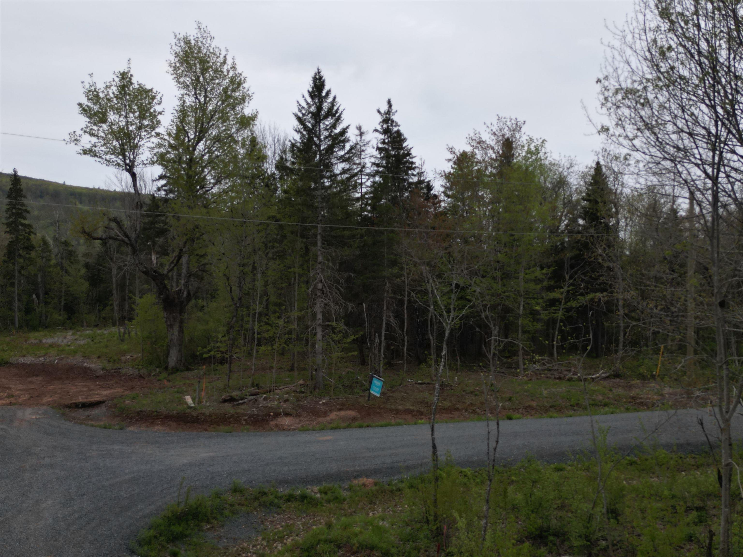17 Glades Run, Wentworth, NS (MLS® 202601002)