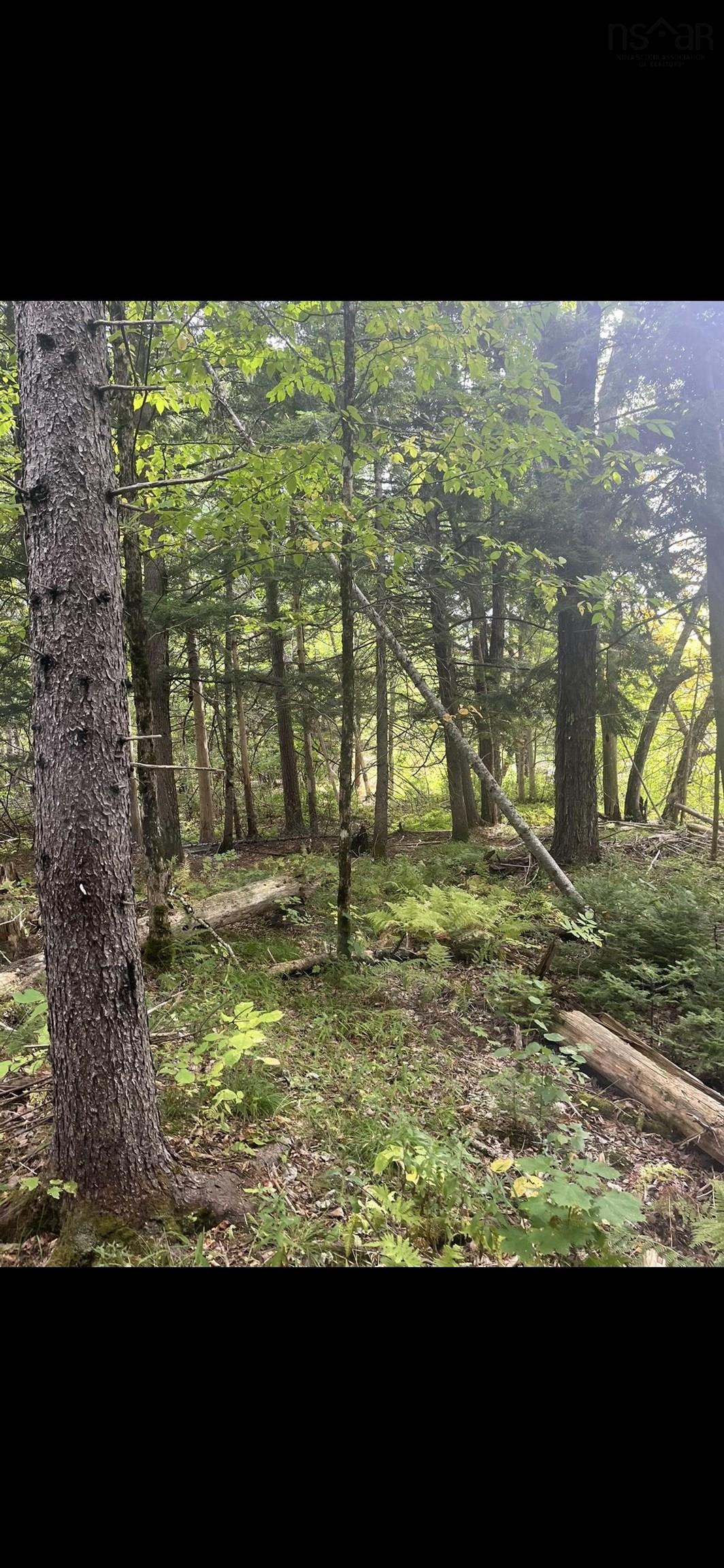 $99,900.00: 17 Glades Run, Wentworth