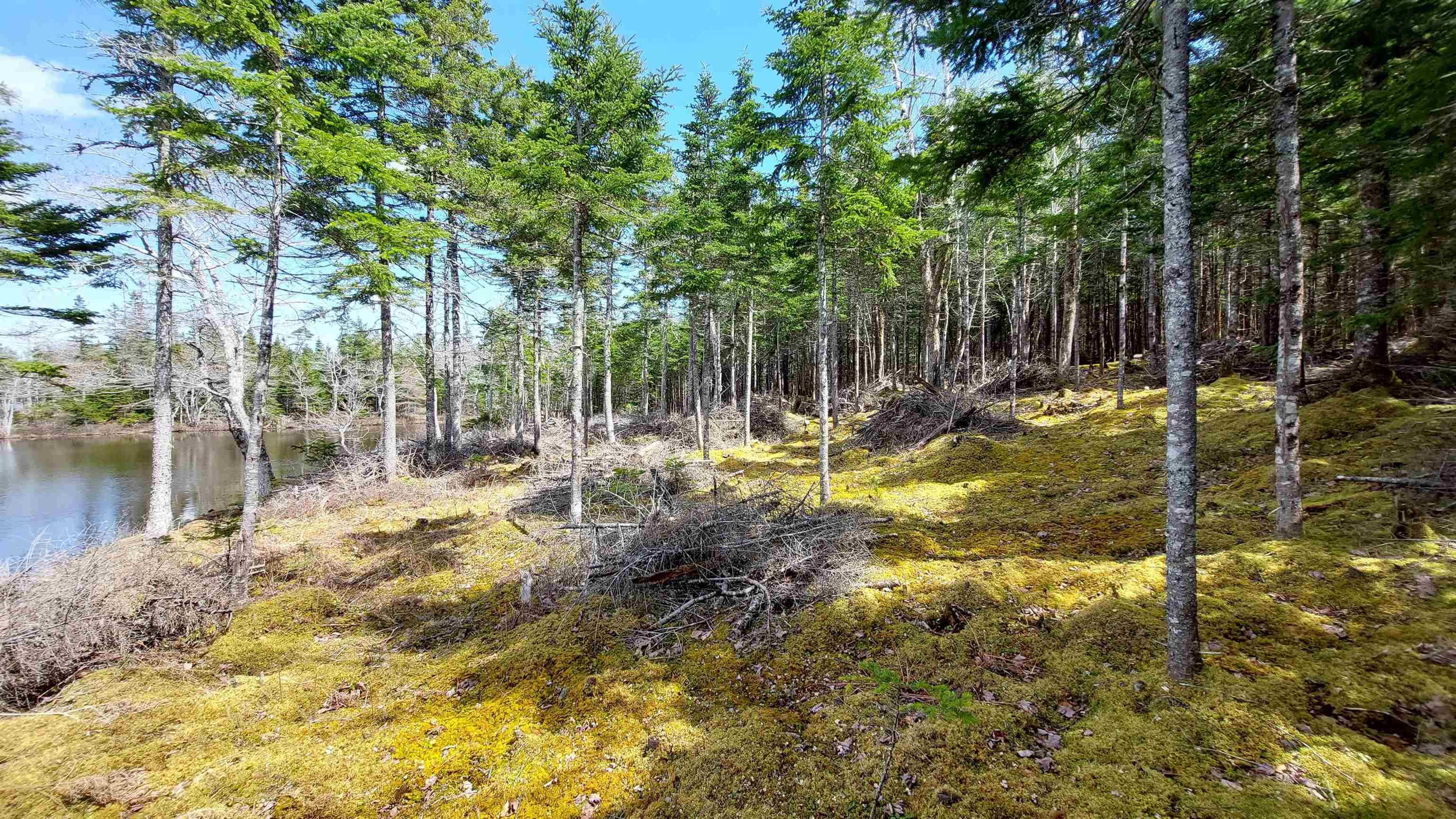 $94,000.00: Lot 4 Highway 4, False Bay