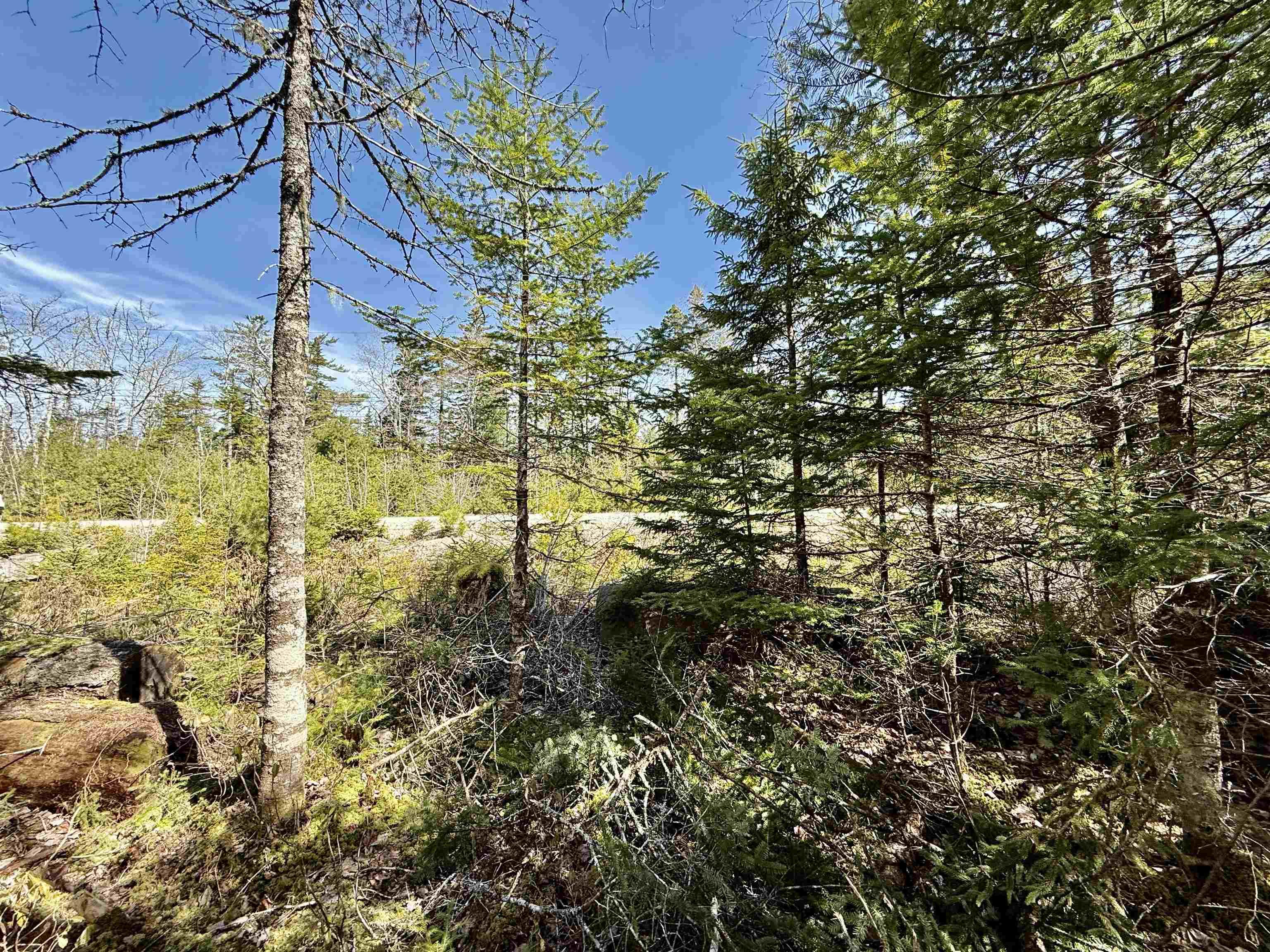 Lot 32 Dynasty Court, Sherwood, NS (MLS 202601053)