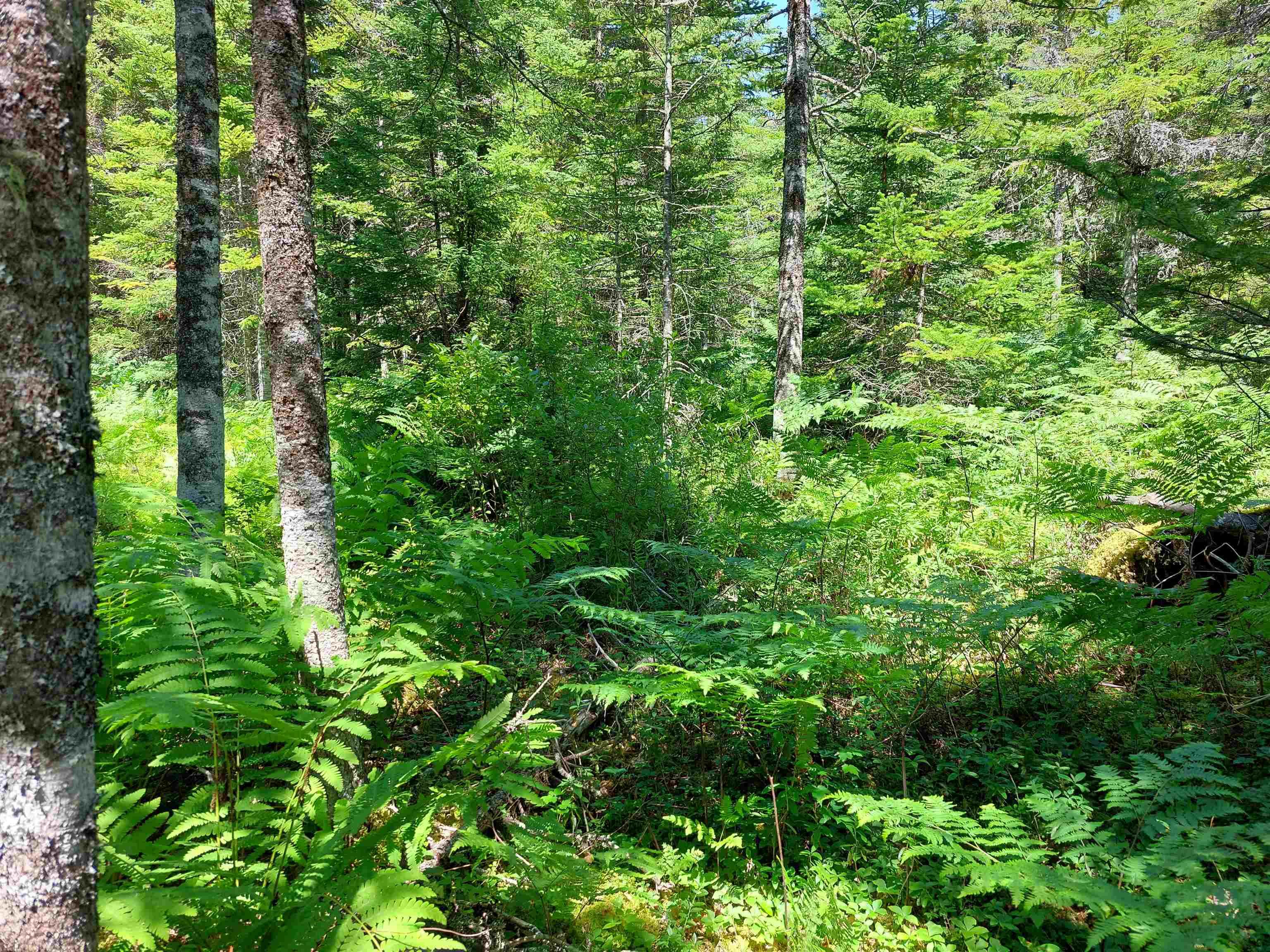 $30,000.00: Lot 47E Widow Point Loop, West Bay Marshes