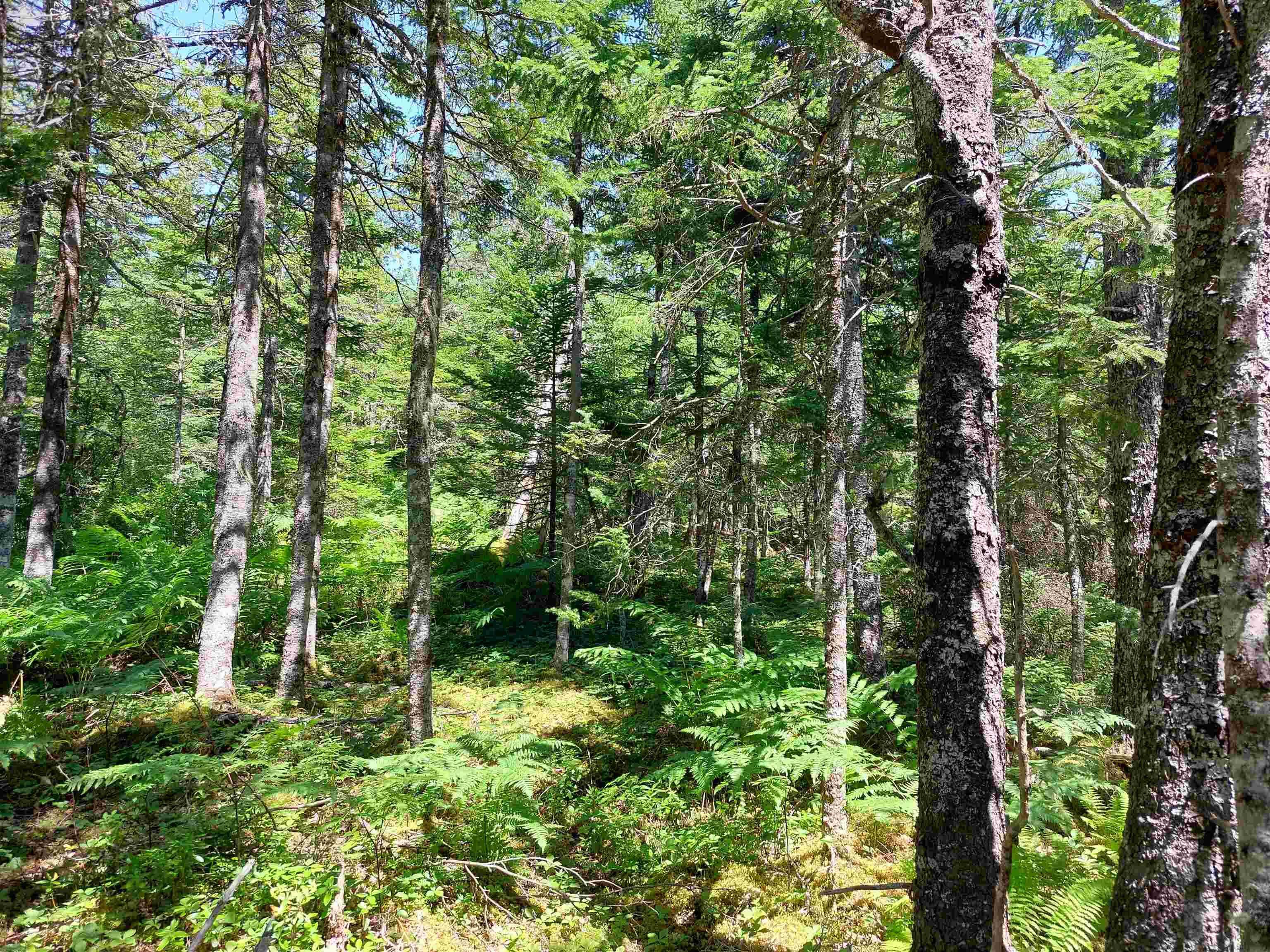 $30,000.00: Lot 47E Widow Point Loop, West Bay Marshes