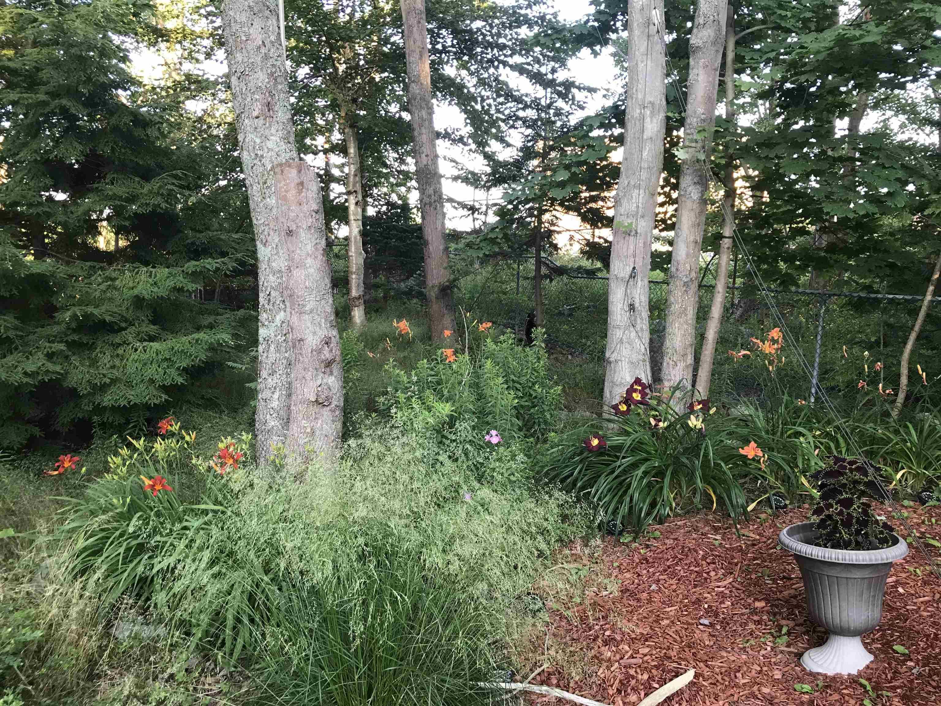 $859,900.00: 12 Canary Crescent, Halifax