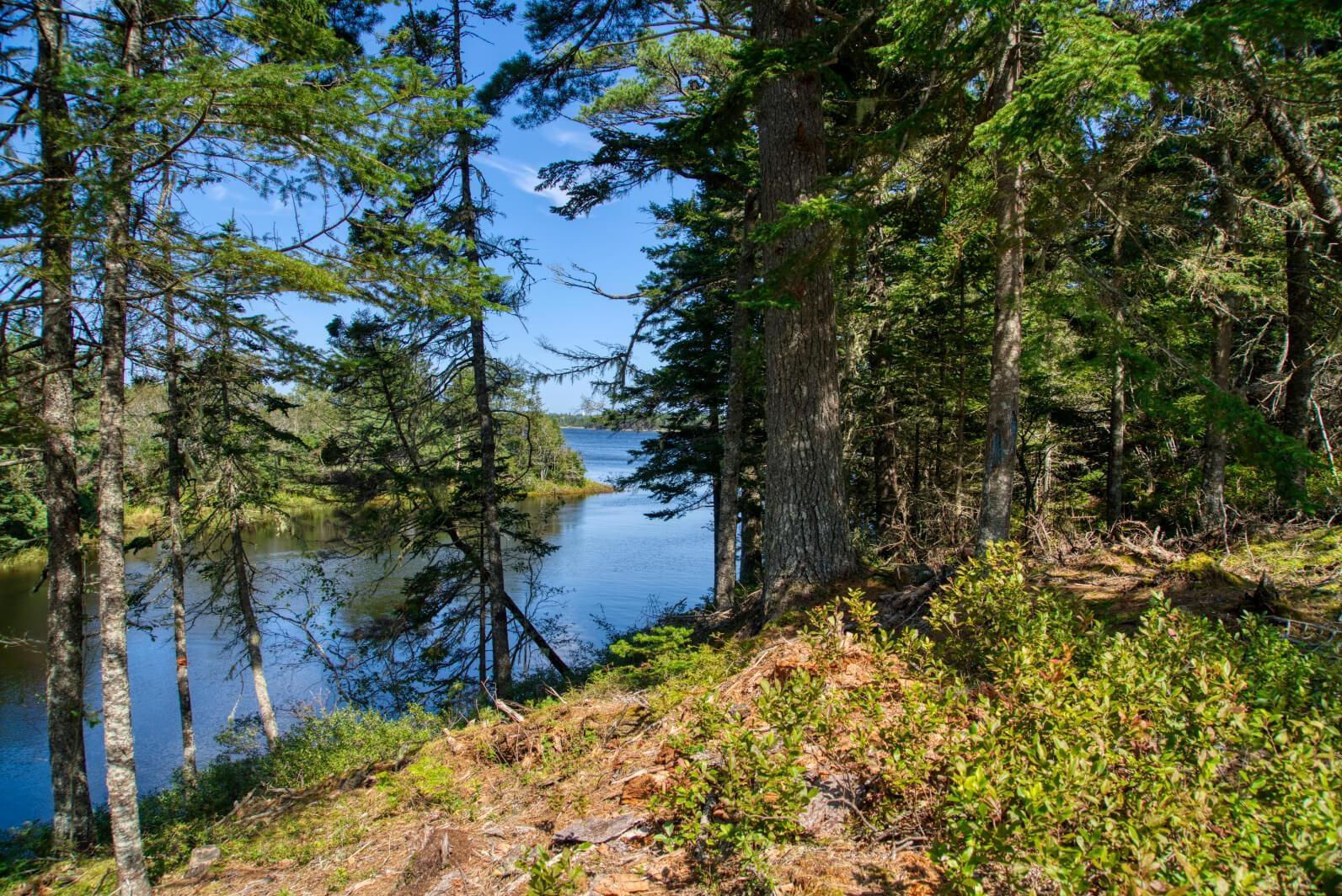 $200,000.00: Lot 5 Cooks Brook, Bayport