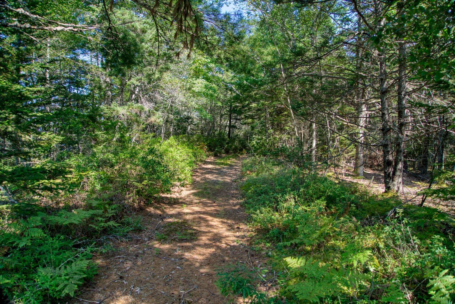 $200,000.00: Lot 5 Cooks Brook, Bayport