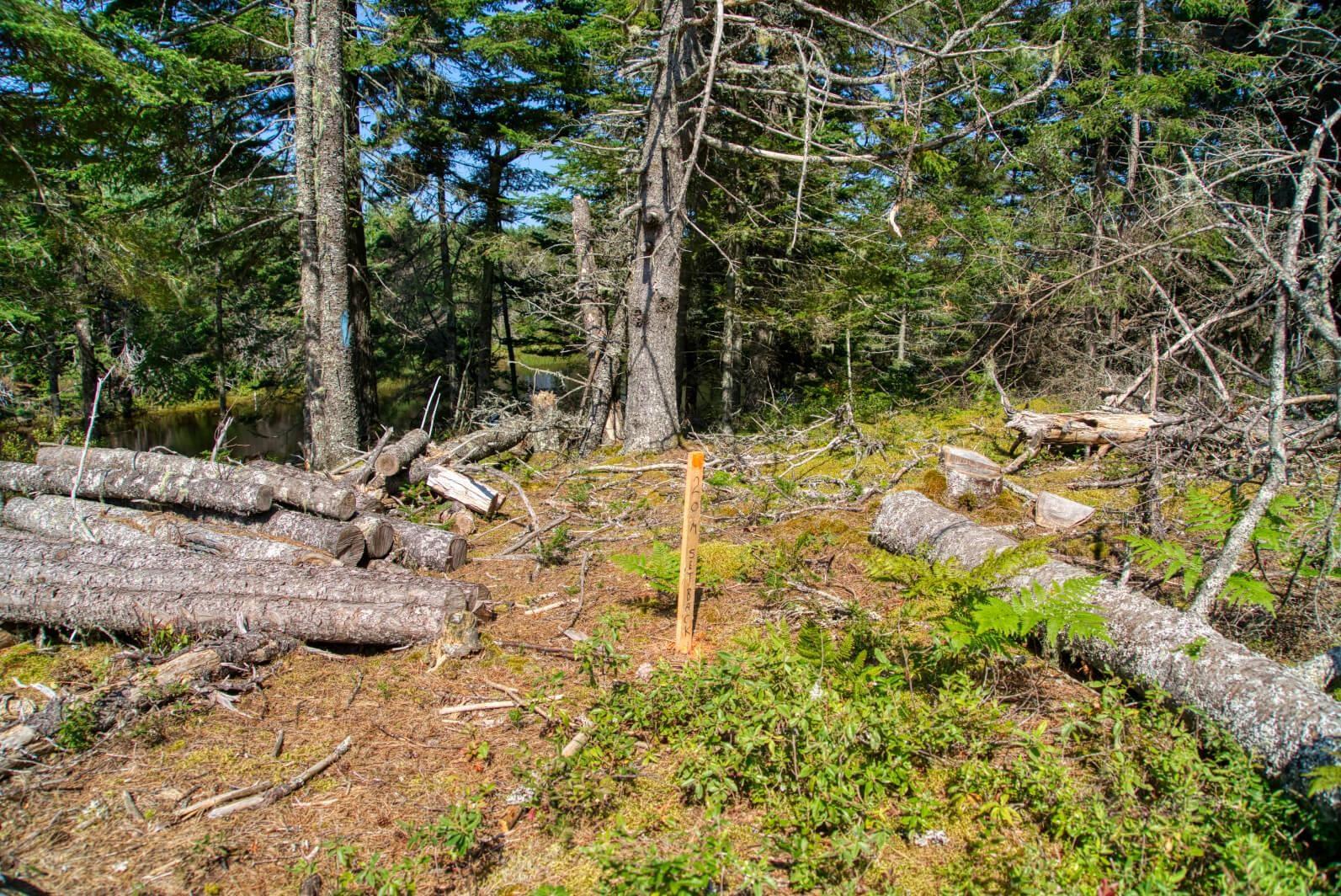 $200,000.00: Lot 5 Cooks Brook, Bayport