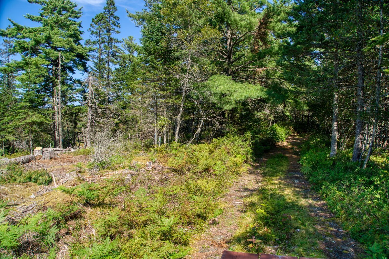 $200,000.00: Lot 5 Cooks Brook, Bayport