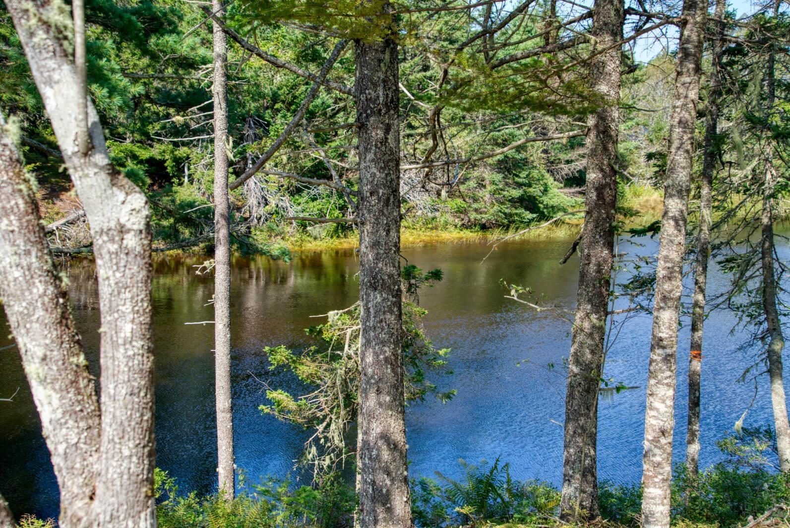 $200,000.00: Lot 5 Cooks Brook, Bayport