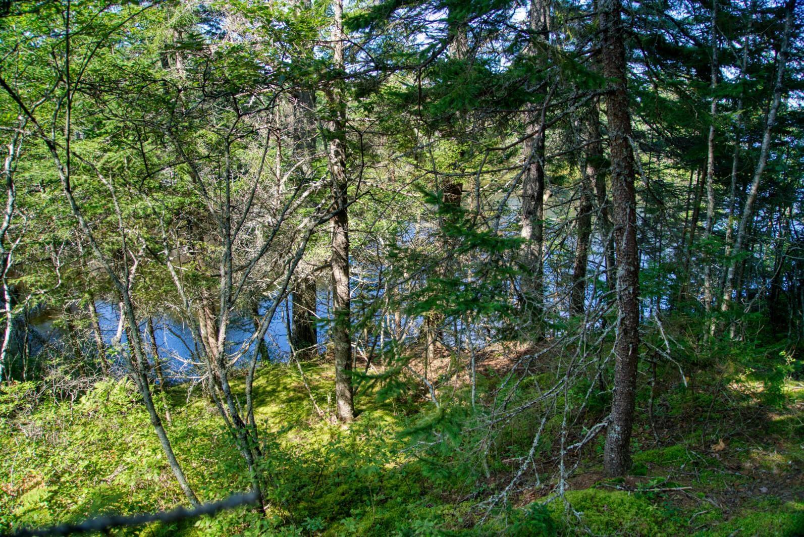 $200,000.00: Lot 5 Cooks Brook, Bayport