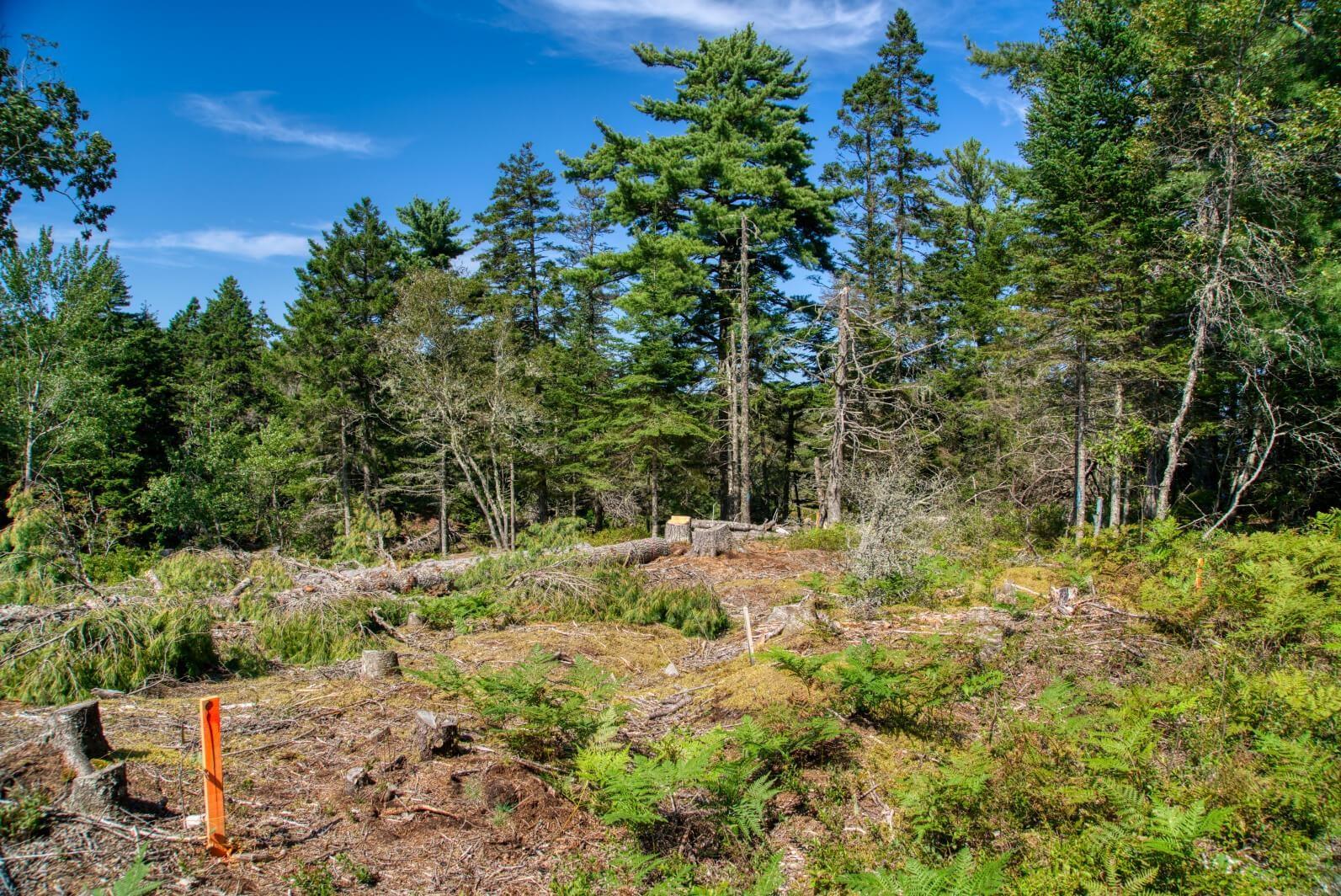 $200,000.00: Lot 5 Cooks Brook, Bayport