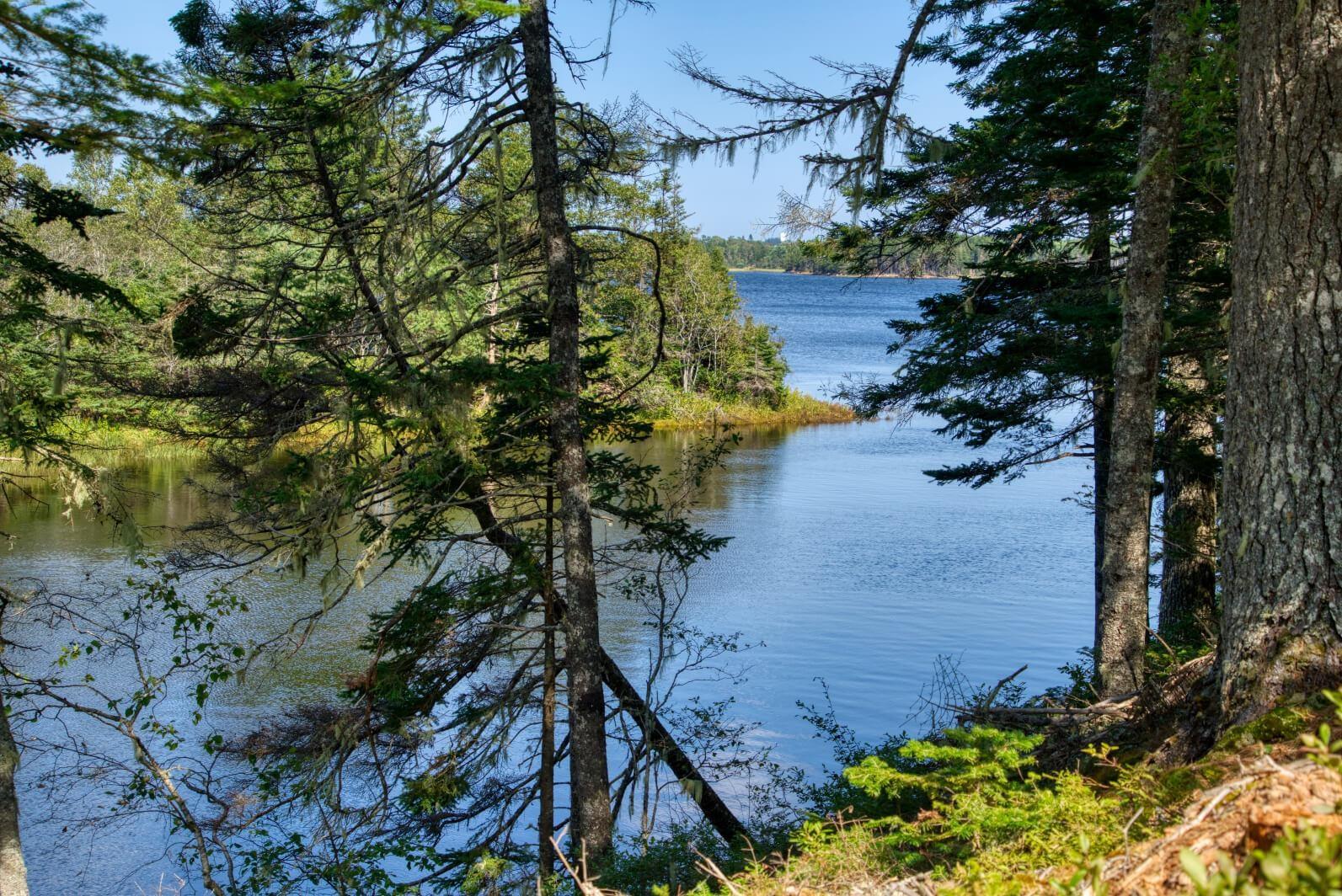 $200,000.00: Lot 5 Cooks Brook, Bayport