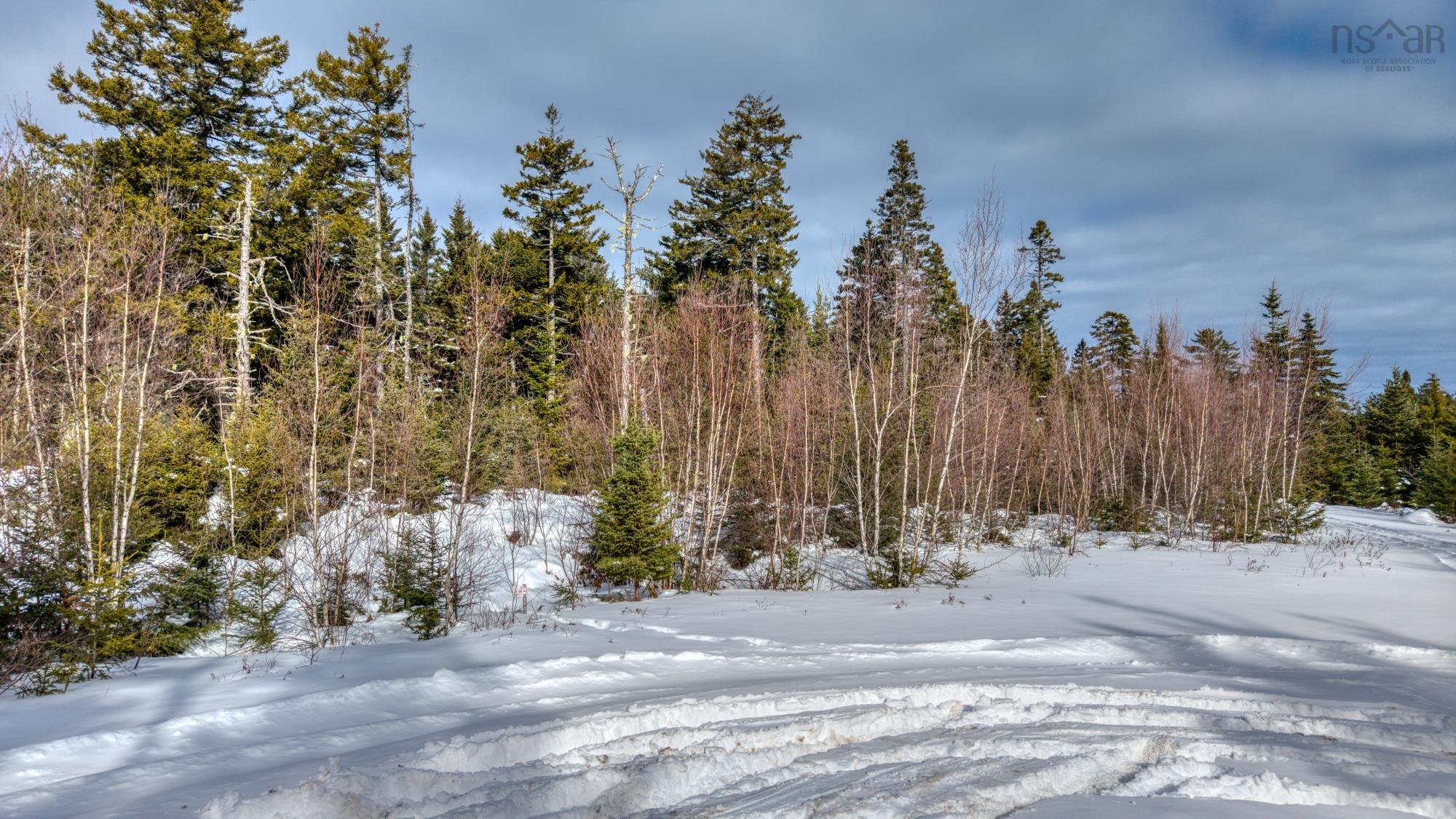 $200,000.00: Lot 5 Cooks Brook, Bayport