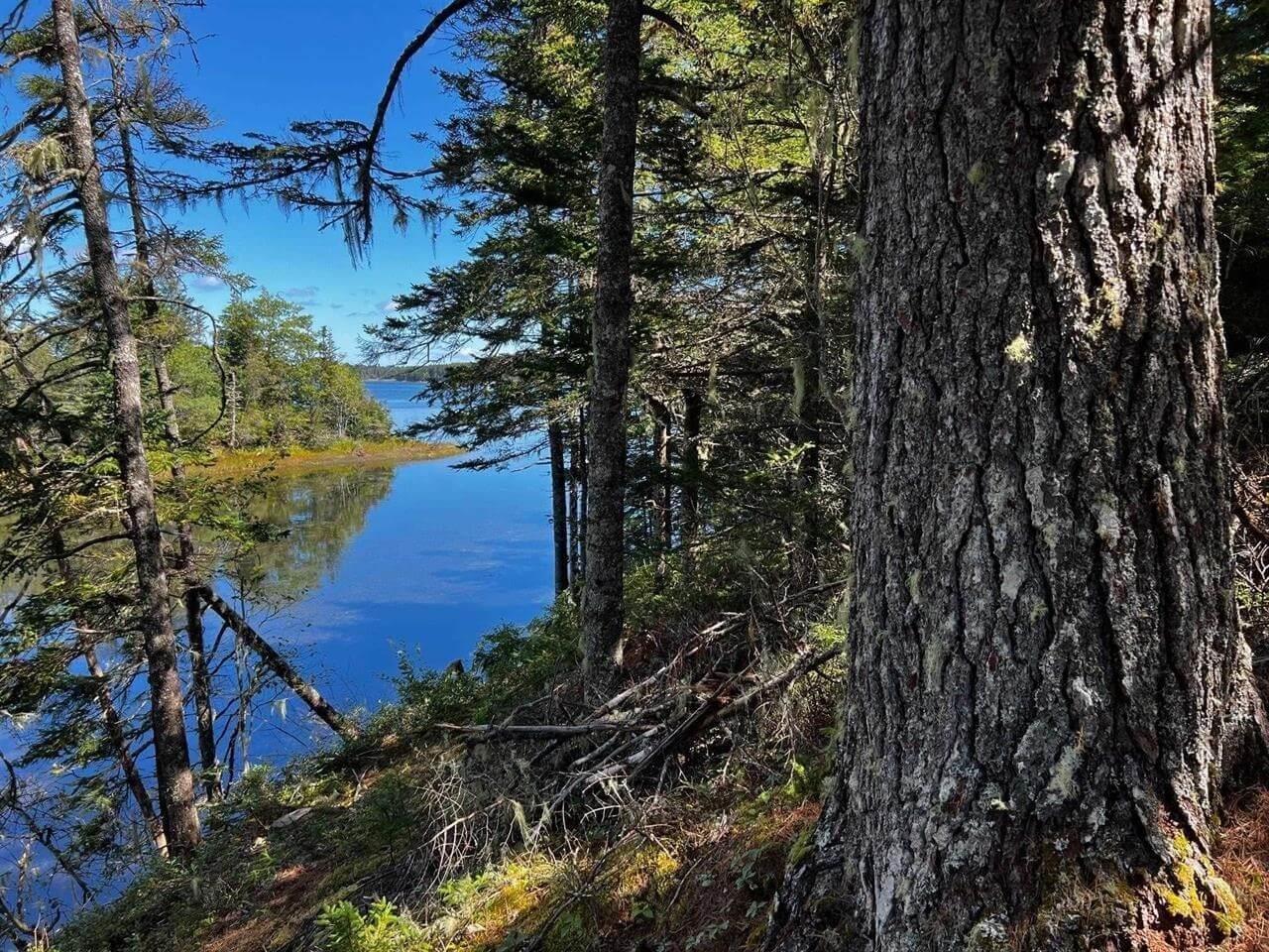 $200,000.00: Lot 5 Cooks Brook, Bayport