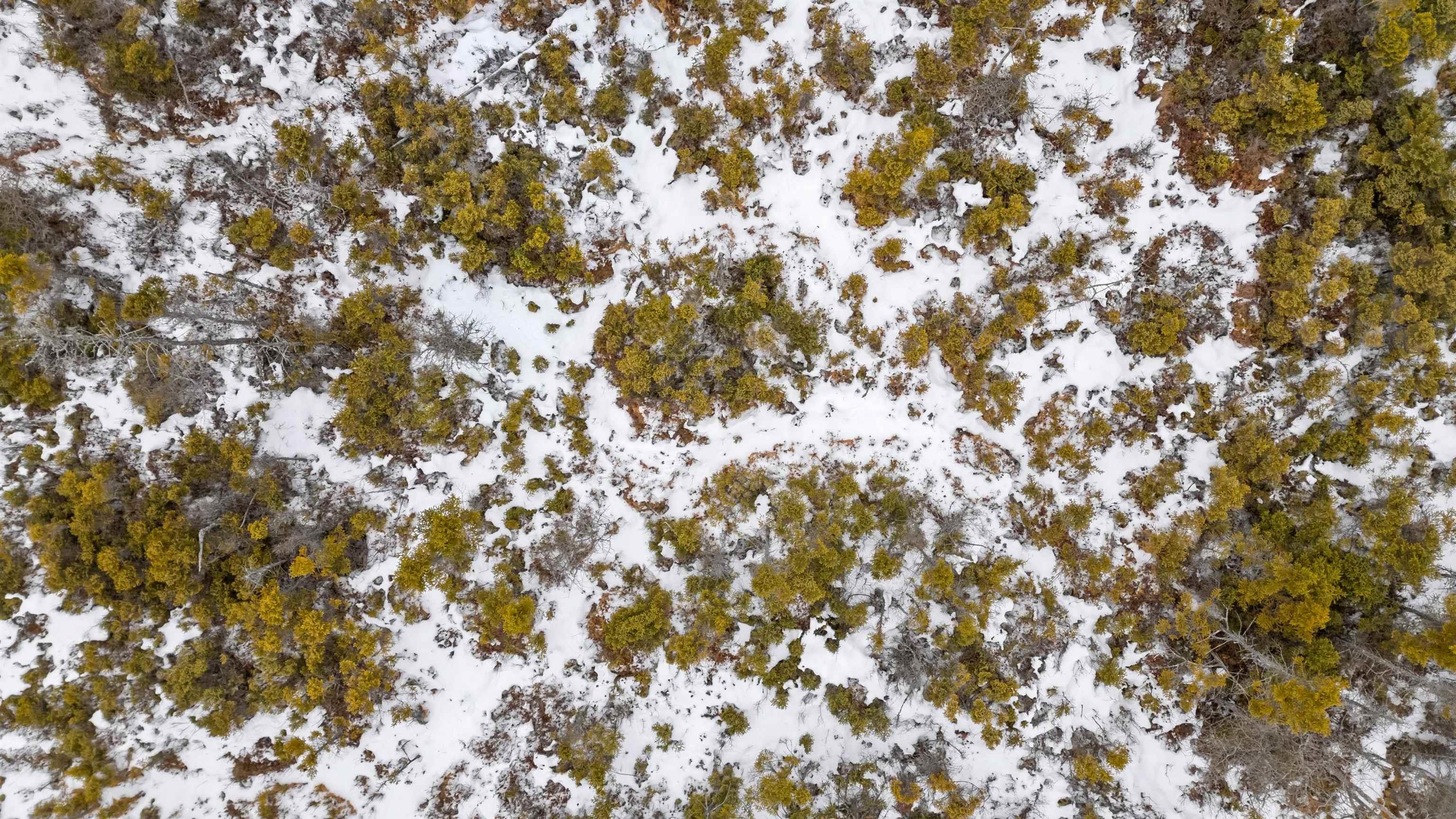 $289,900.00: Lot 62 Acres Caribou Island Rd, Caribou Island