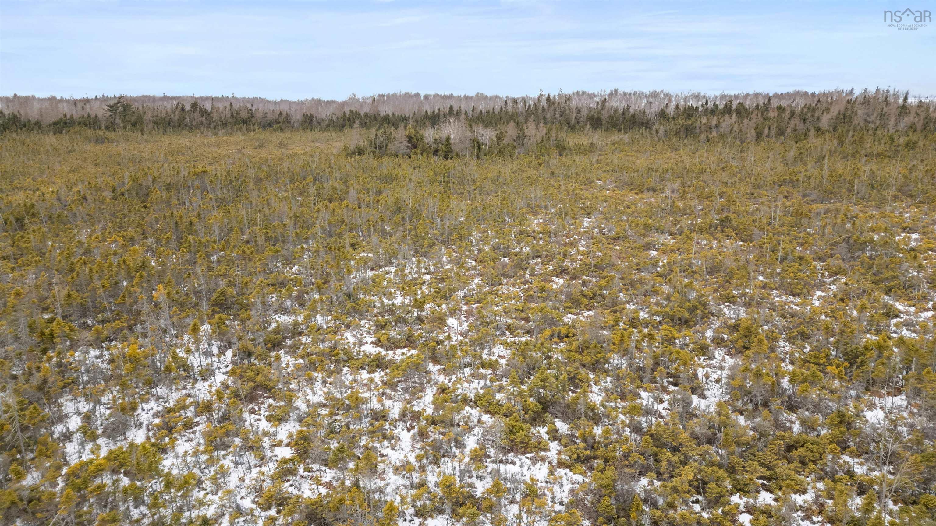 $289,900.00: Lot 62 Acres Caribou Island Rd, Caribou Island